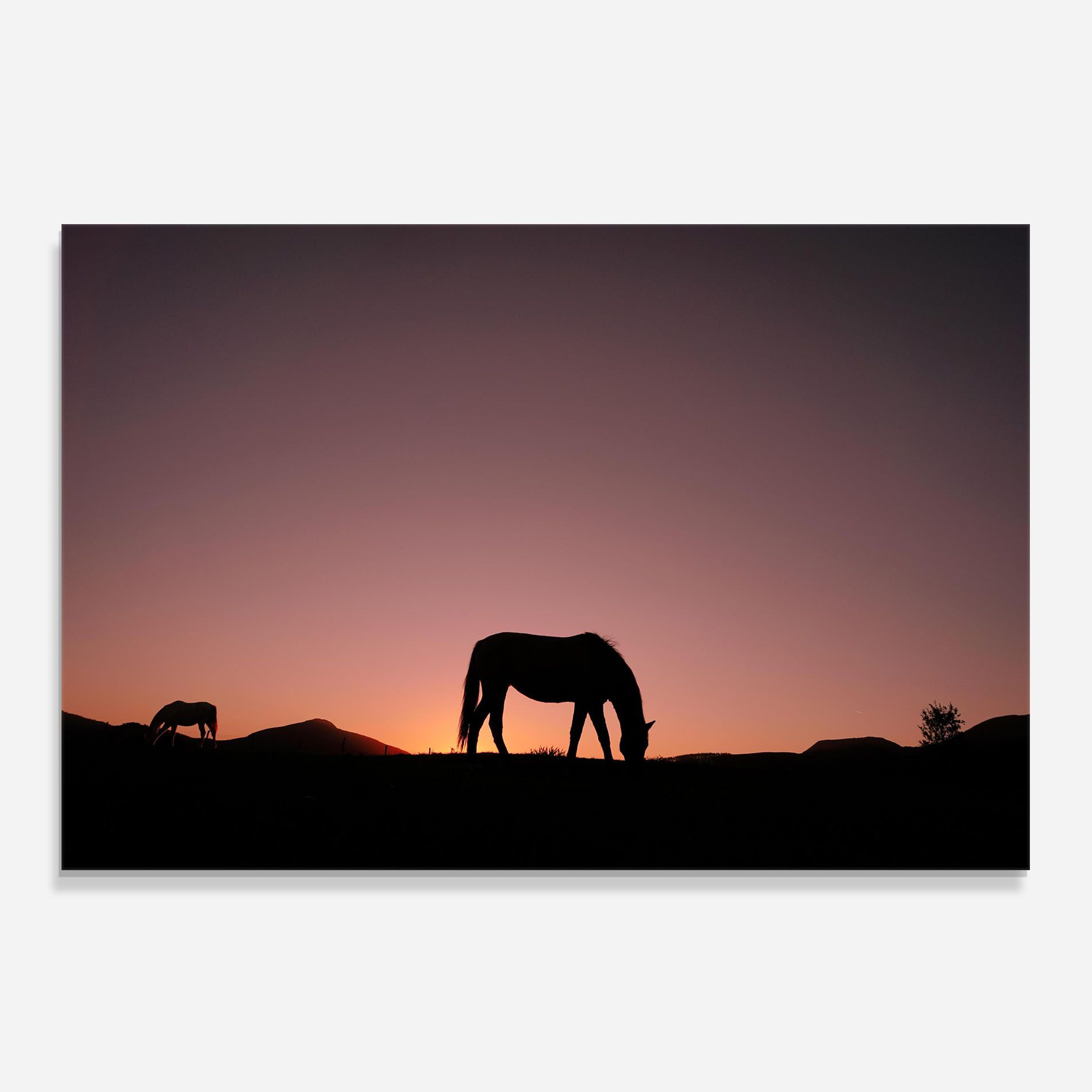 Horse Silhouette mockup 0