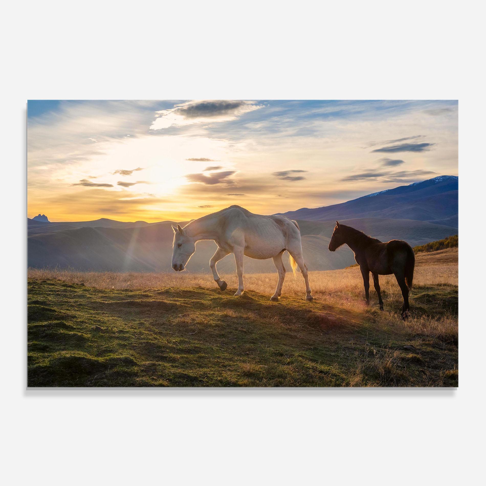 Konyhai üveg hátfal Mountain White Horse mockup 0