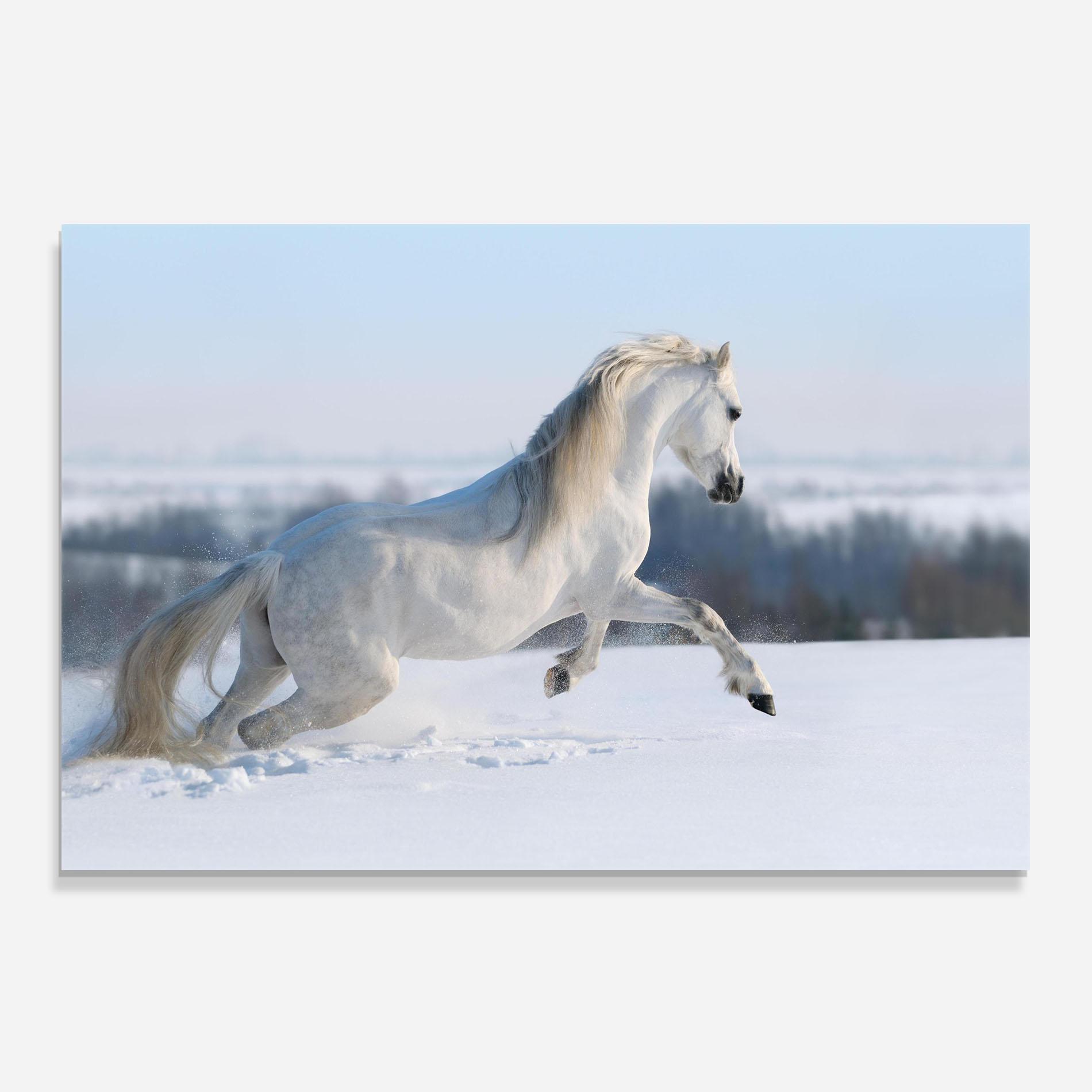 Konyhai üveg hátfal Snow Horse Running mockup 0