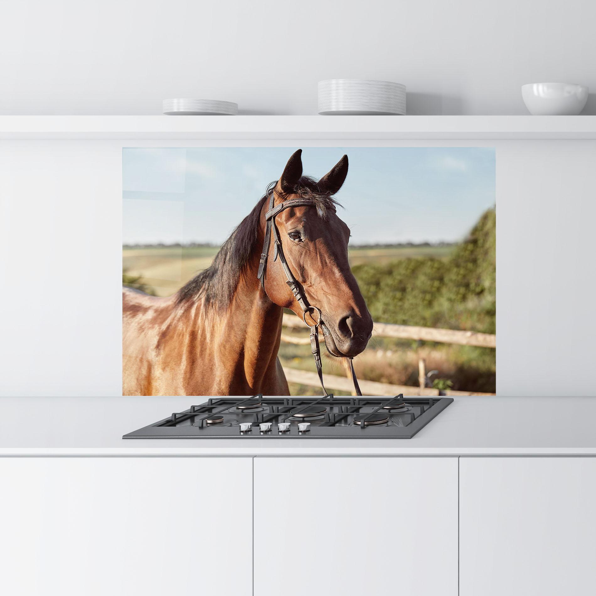 Konyhai üveg hátfal Brown Horse Close Up mockup 9