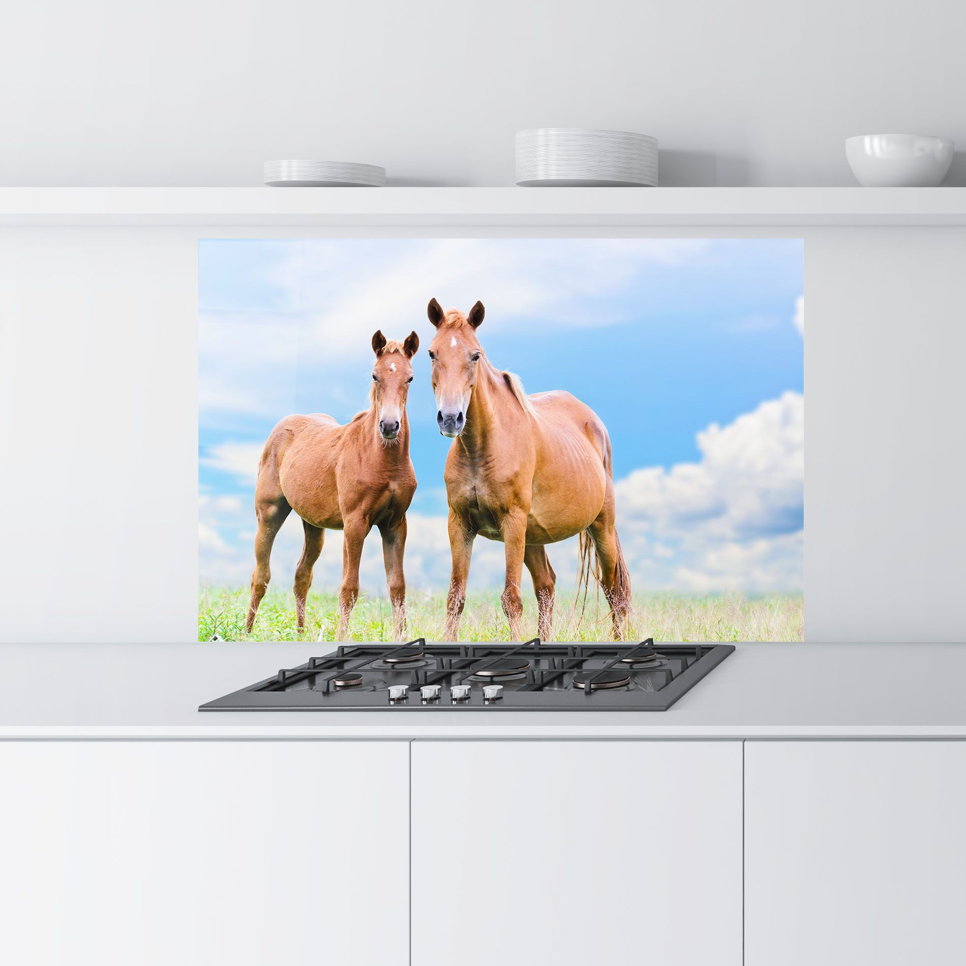 Brown Horse Looking mockup 9