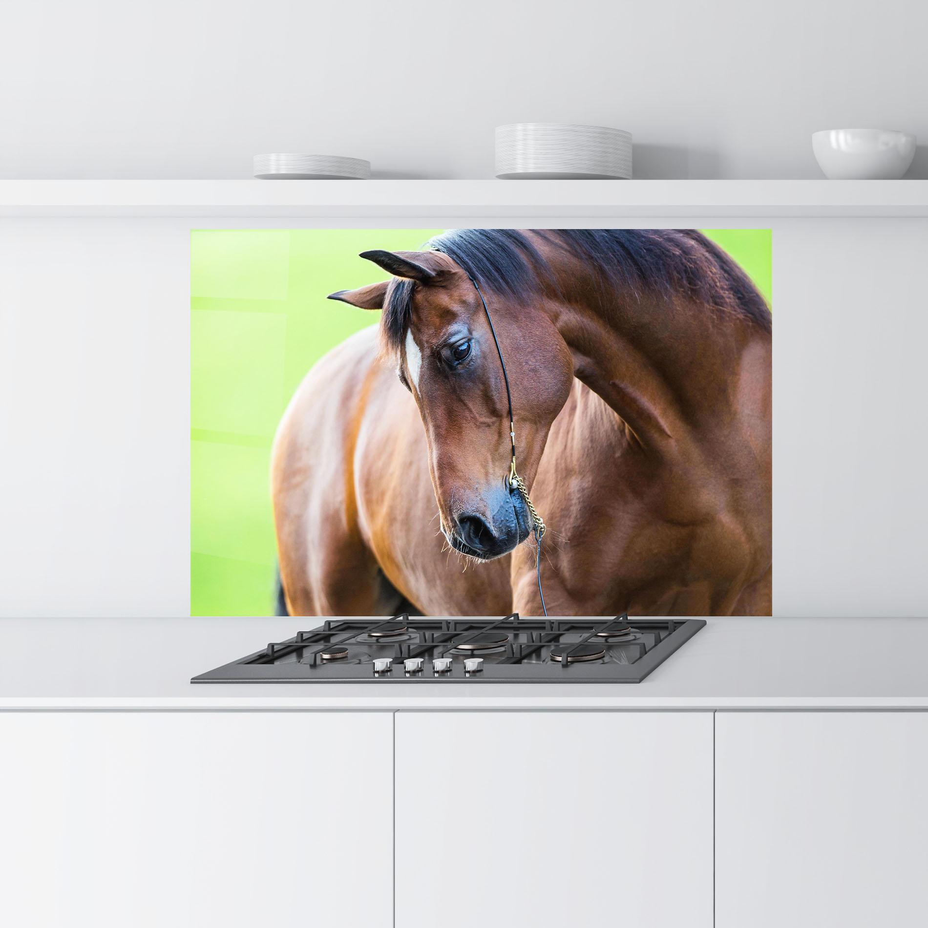 Konyhai üveg hátfal Horse Head Portrait mockup 9