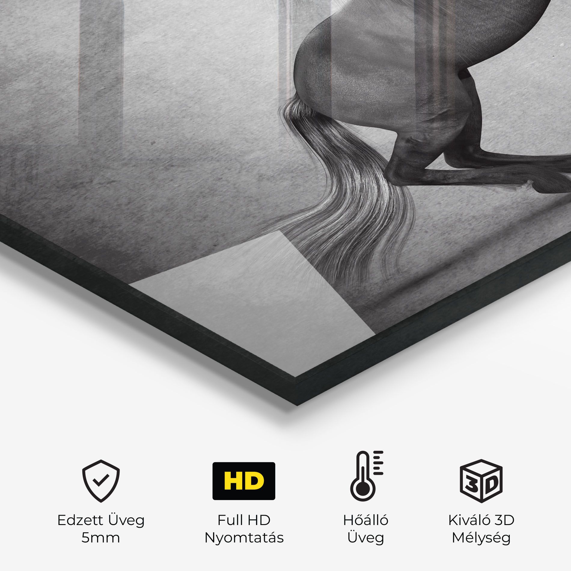 Black Horse Jumping mockup 2