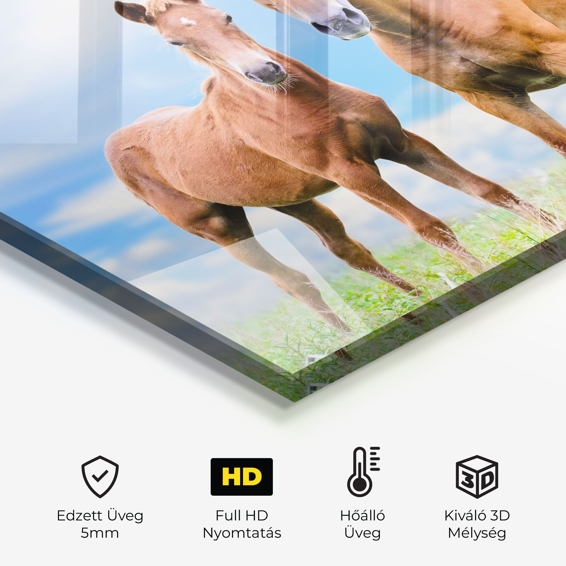 Brown Horse Looking mockup 2