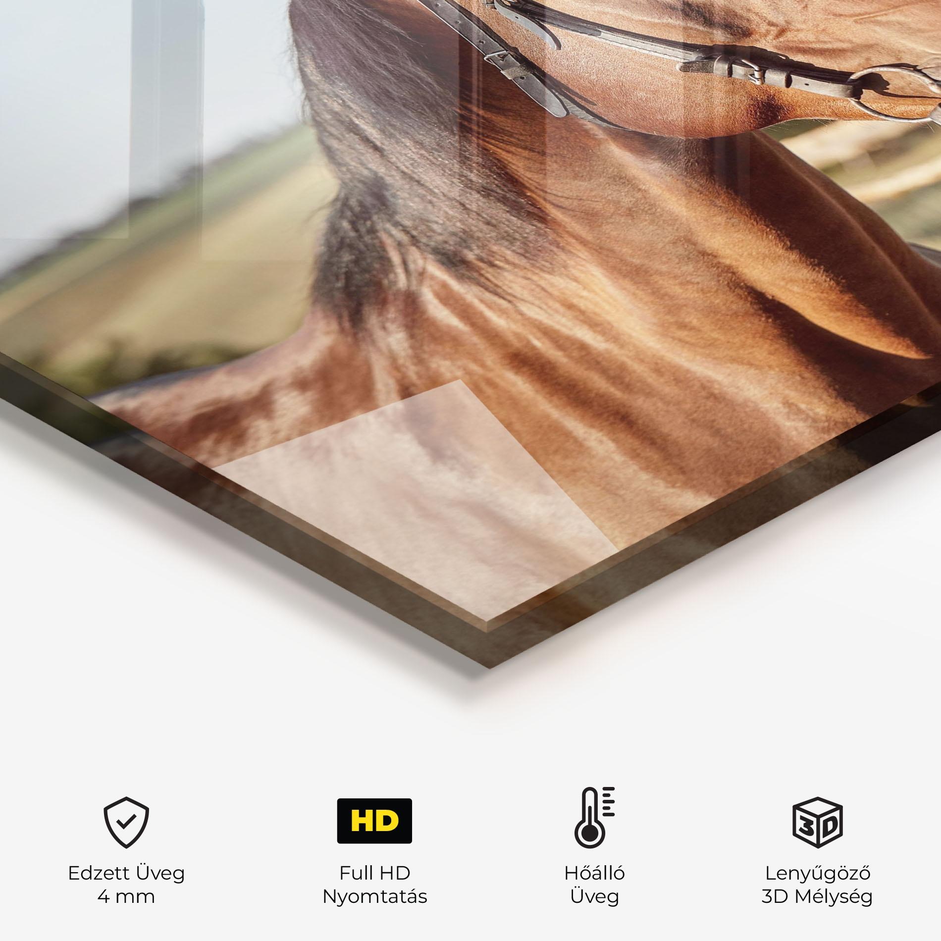 Konyhai üveg hátfal Brown Horse Close Up mockup 2