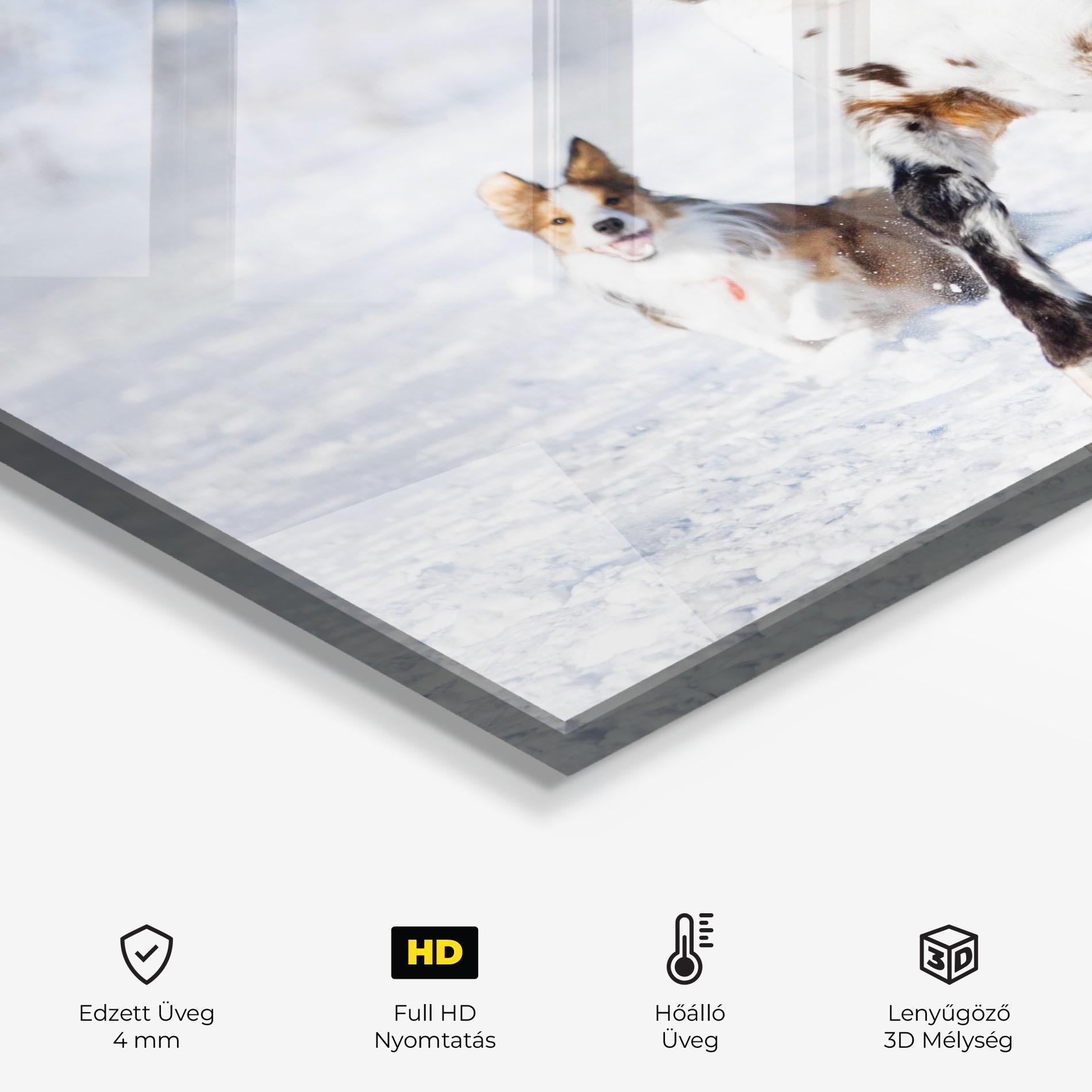 Konyhai üveg hátfal Dog And Horse Running mockup 2