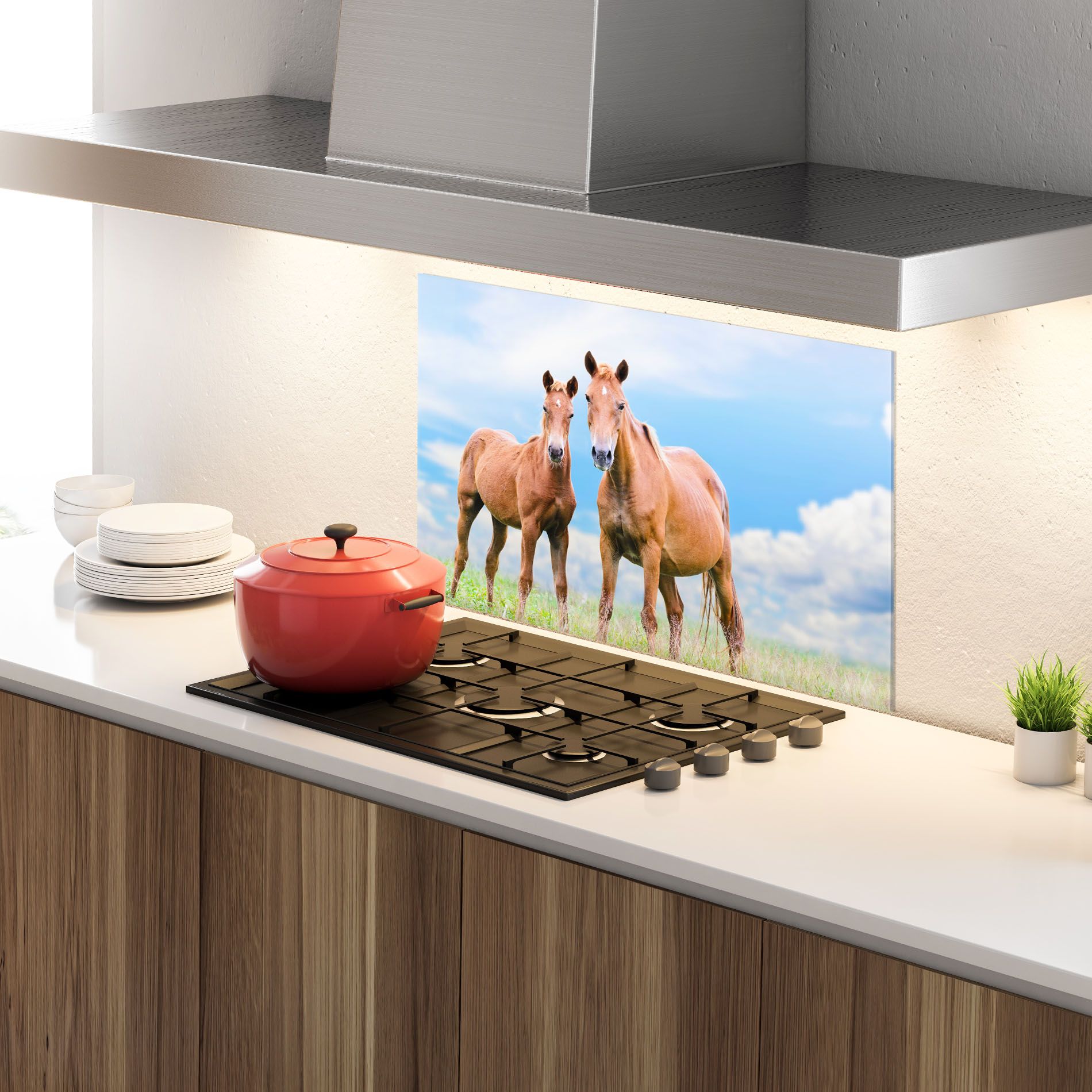 Brown Horse Looking mockup 4