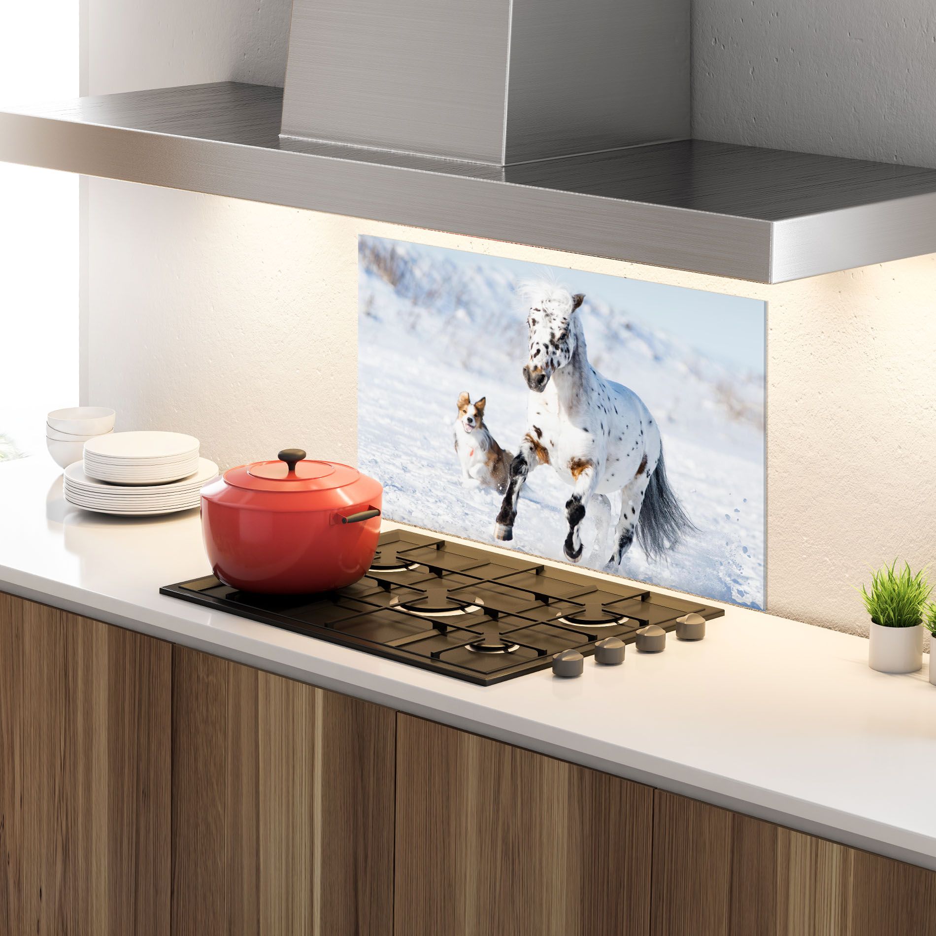 Dog And Horse Running mockup 4