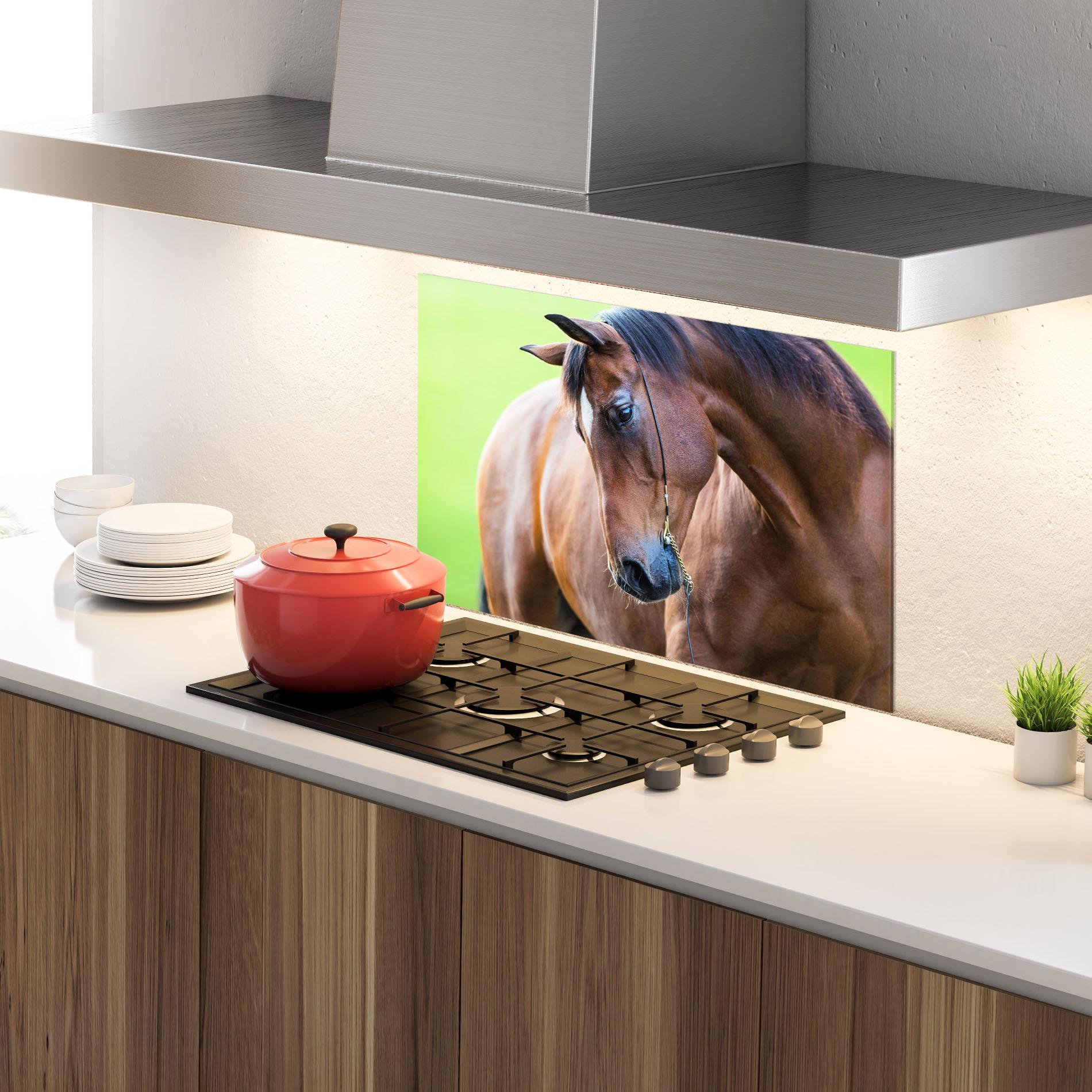 Konyhai üveg hátfal Horse Head Portrait mockup 4
