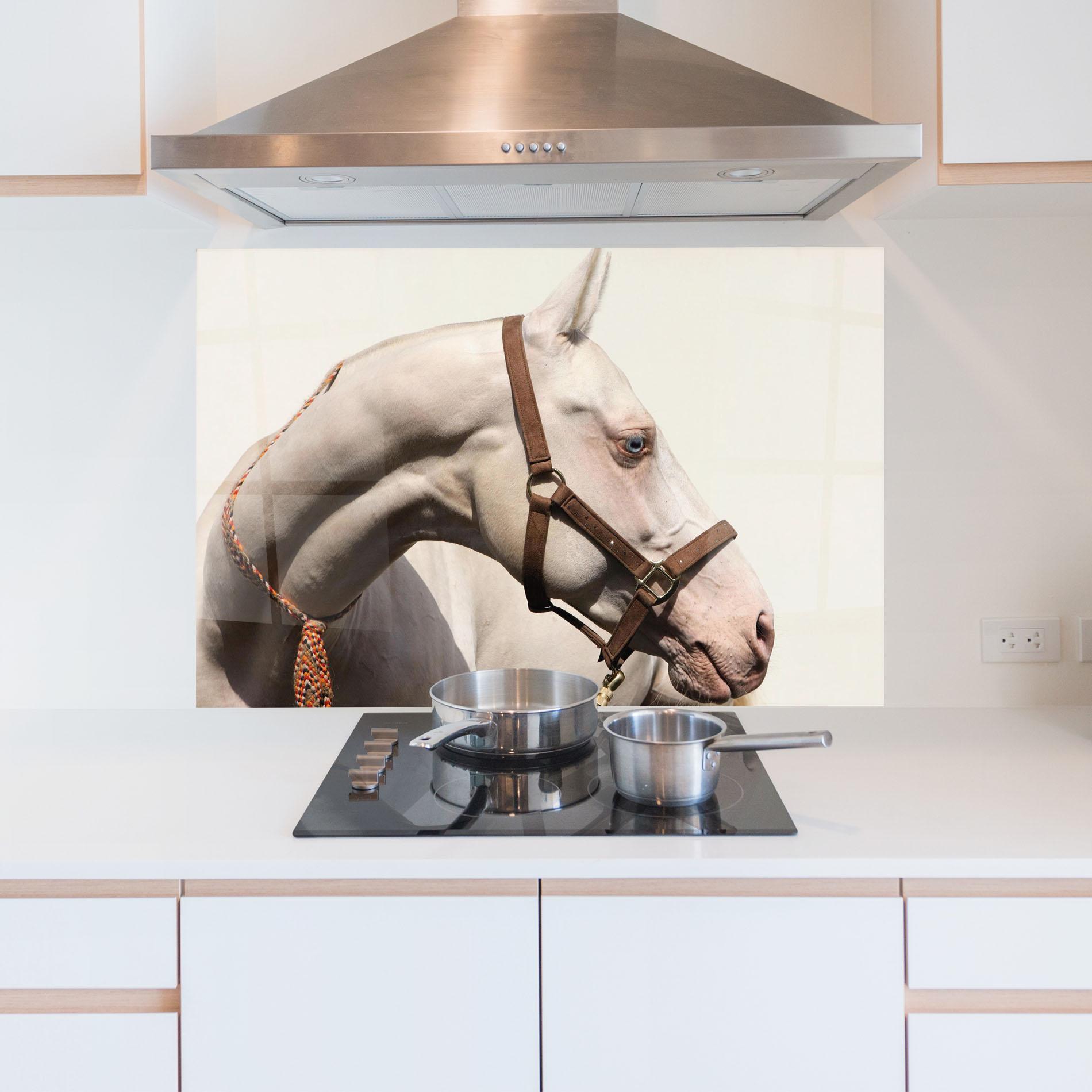 Konyhai üveg hátfal Blue Eye Horse mockup 5