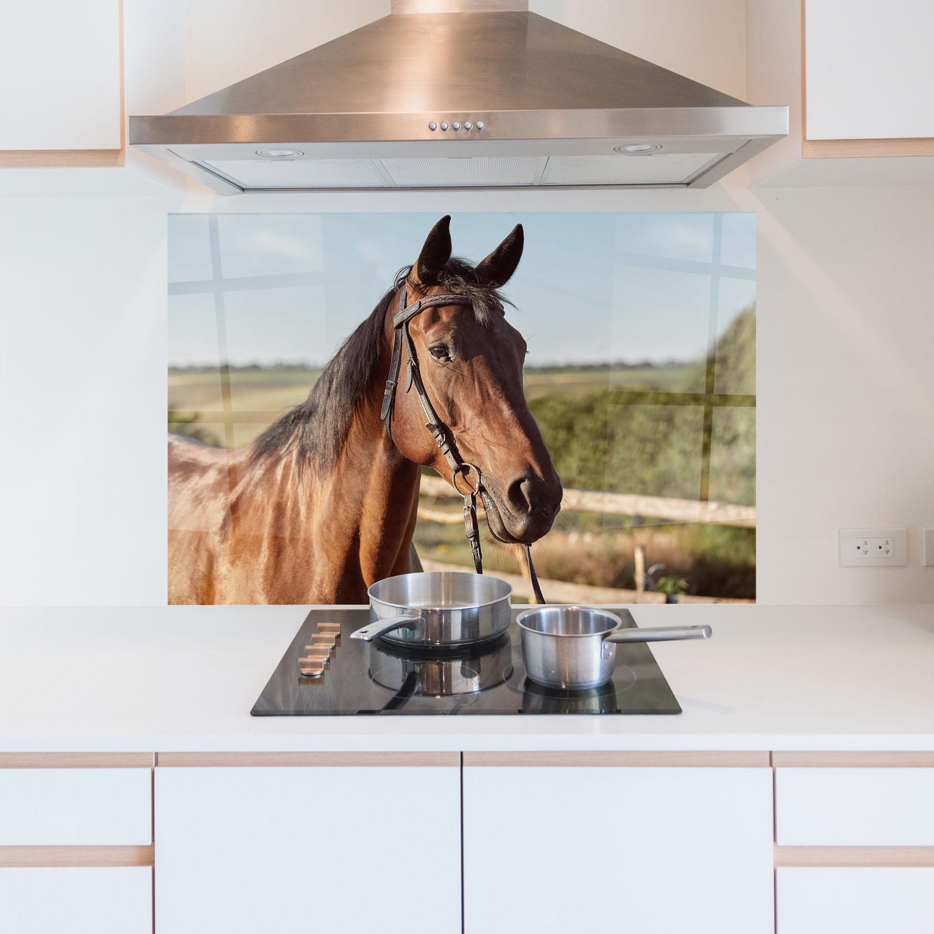 Konyhai üveg hátfal Brown Horse Close Up mockup 5