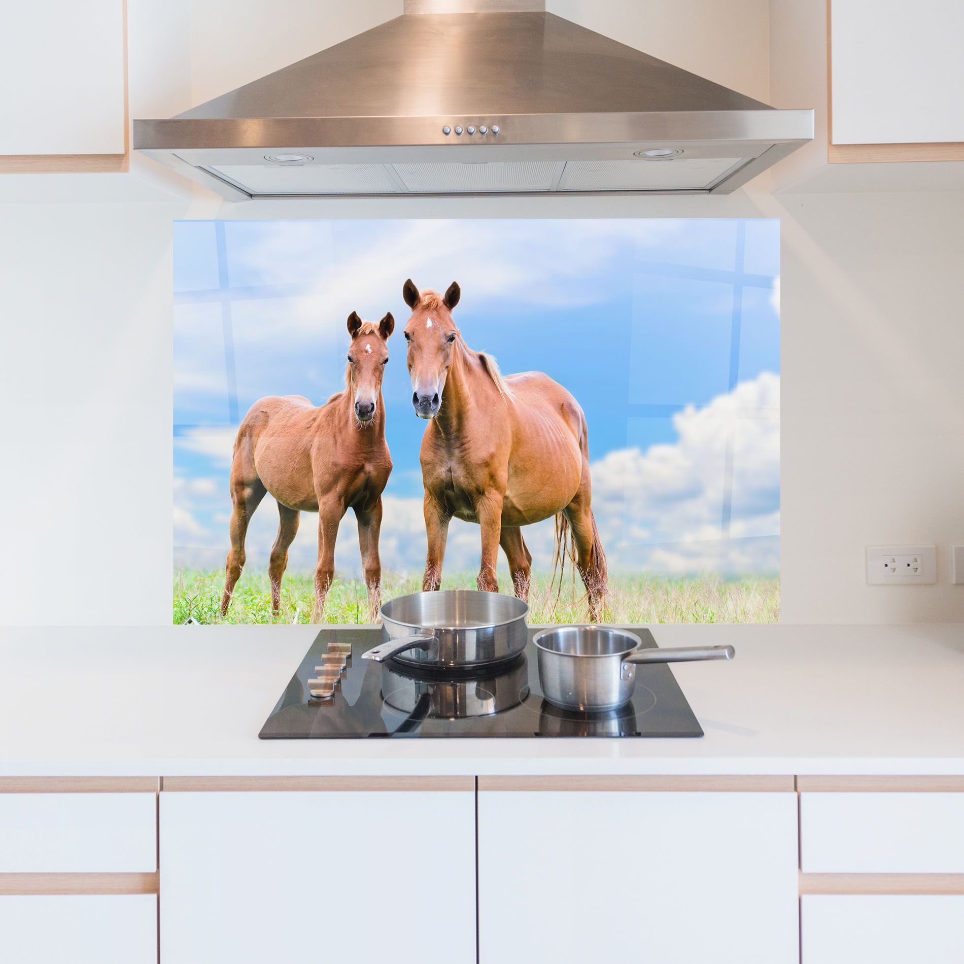 Brown Horse Looking mockup 5