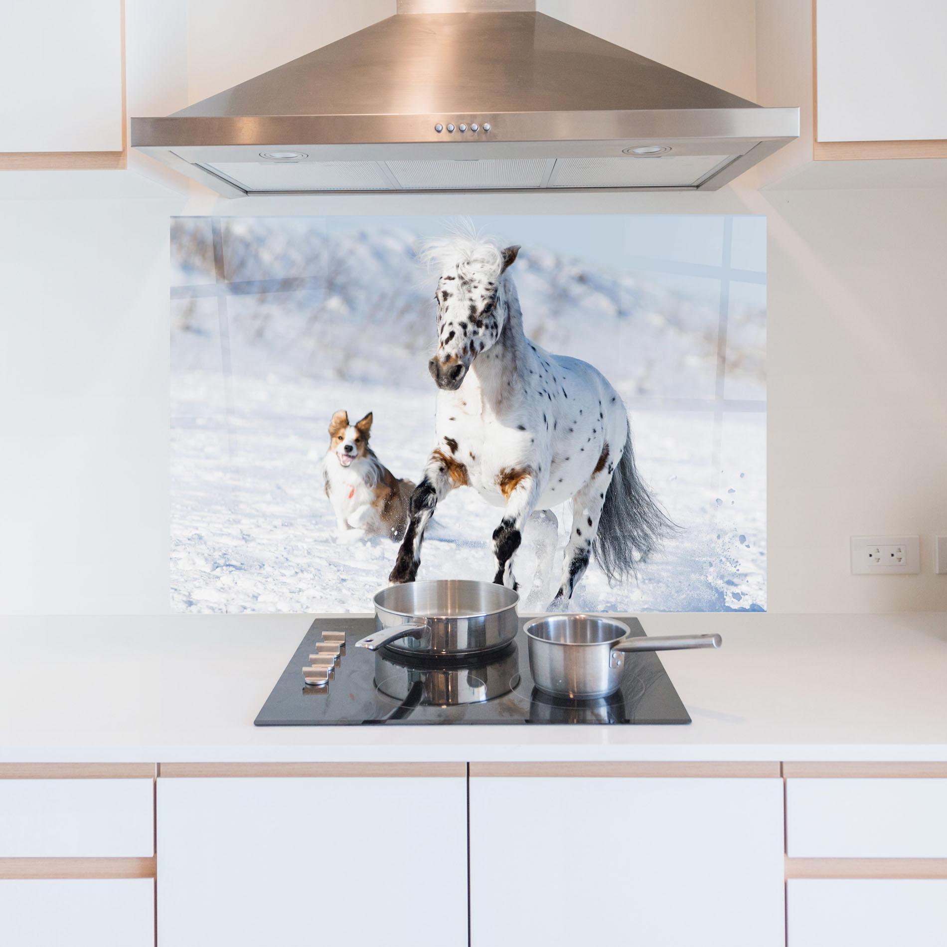 Konyhai üveg hátfal Dog And Horse Running mockup 5