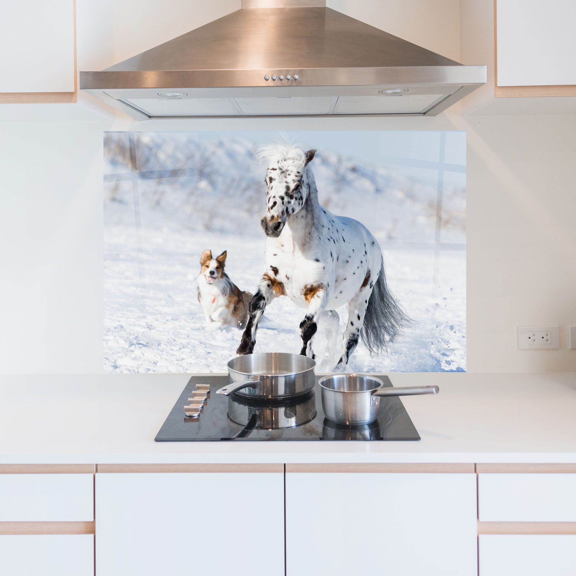 Dog And Horse Running mockup 5