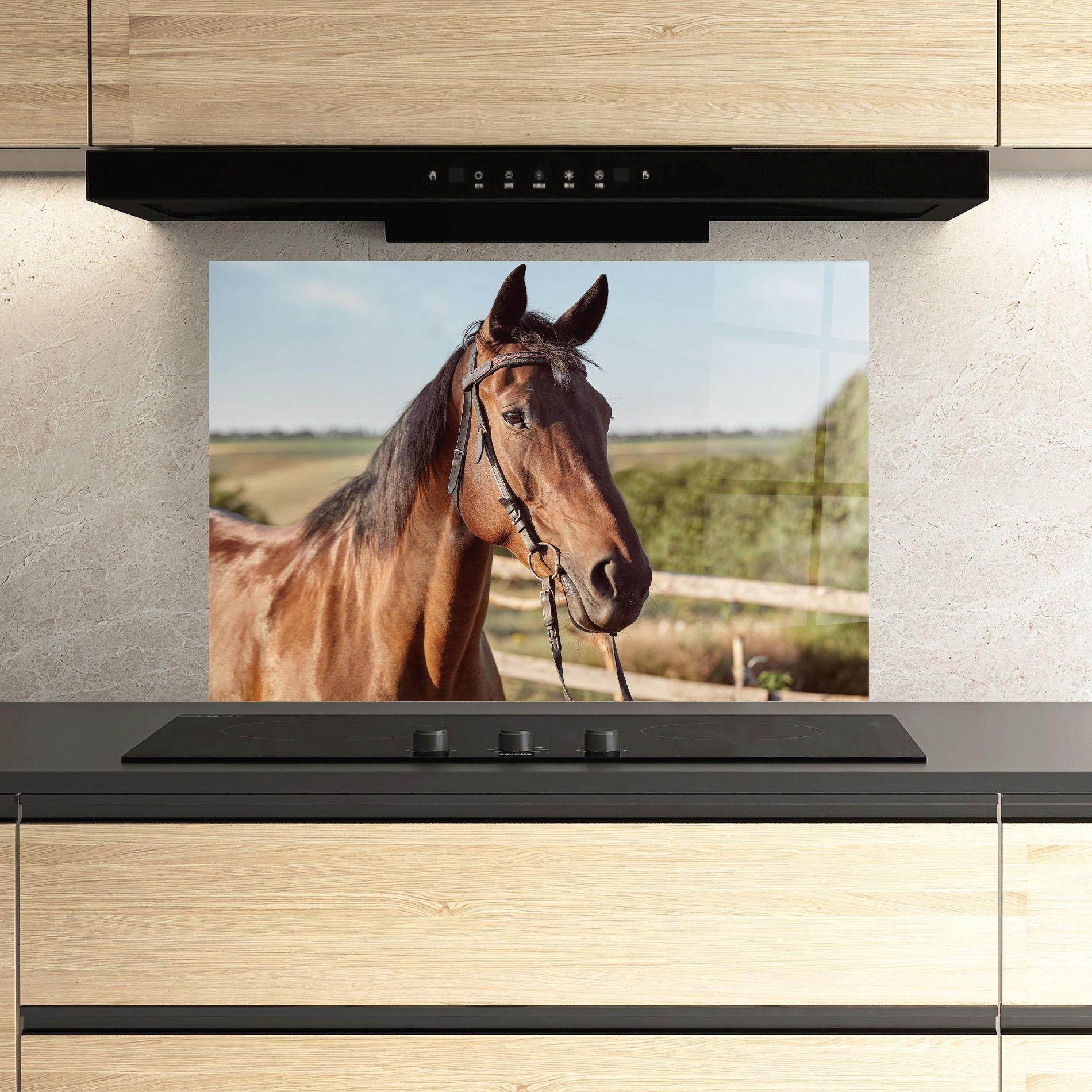 Konyhai üveg hátfal Brown Horse Close Up mockup 3
