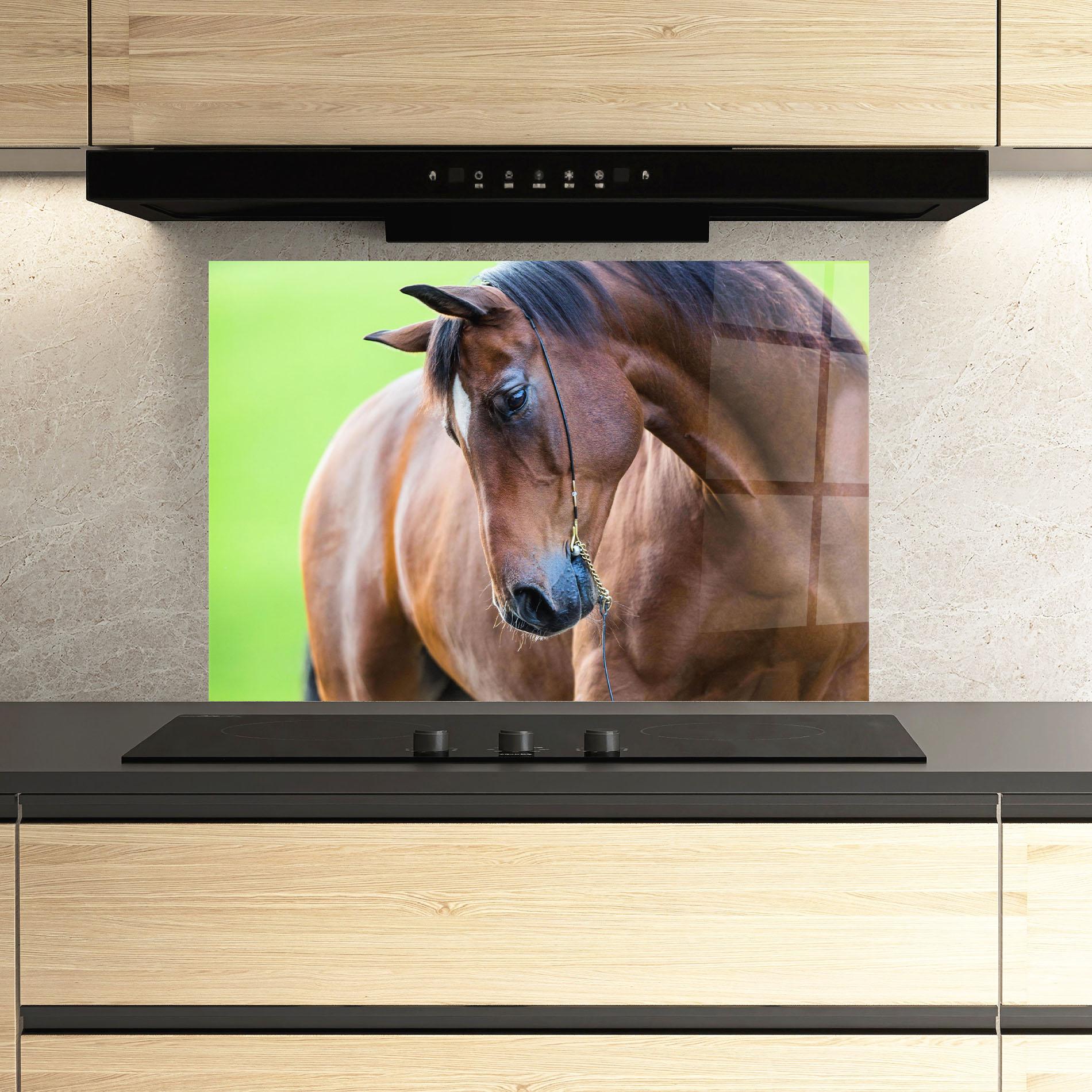 Konyhai üveg hátfal Horse Head Portrait mockup 3