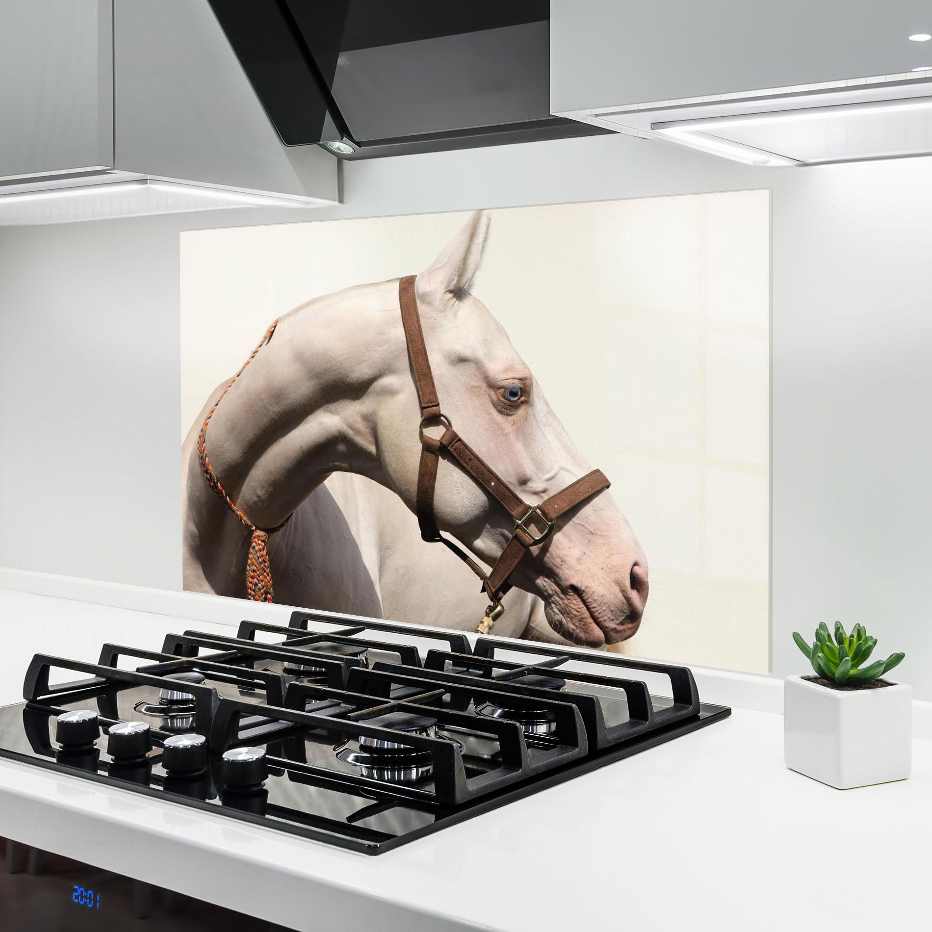 Konyhai üveg hátfal Blue Eye Horse mockup 6