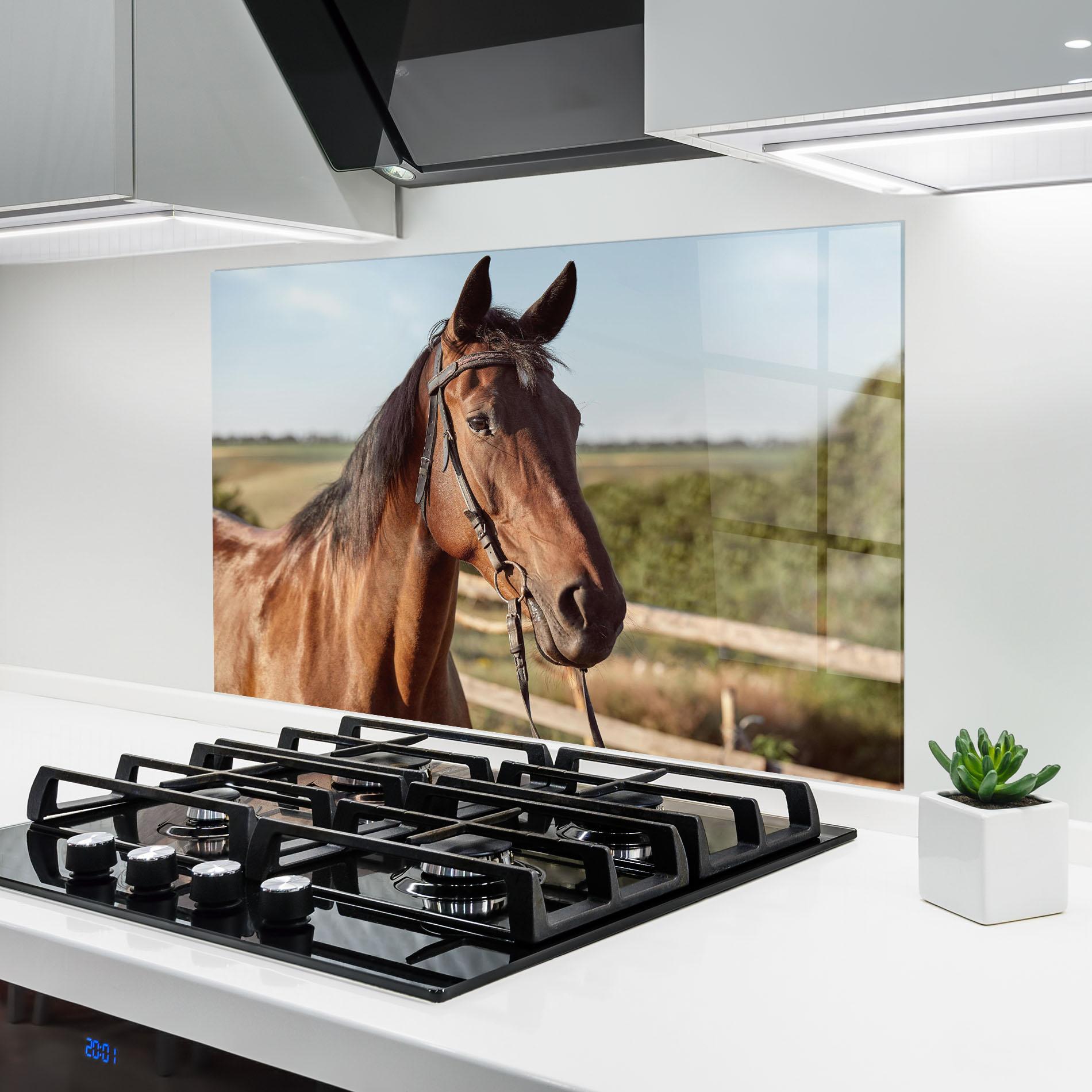 Konyhai üveg hátfal Brown Horse Close Up mockup 6