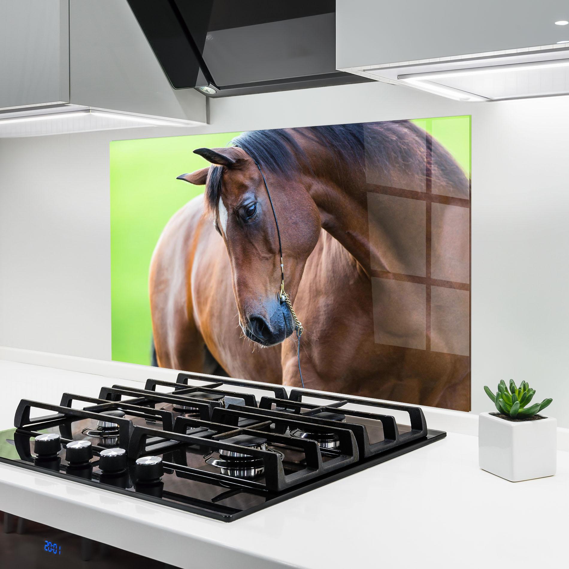 Konyhai üveg hátfal Horse Head Portrait mockup 6