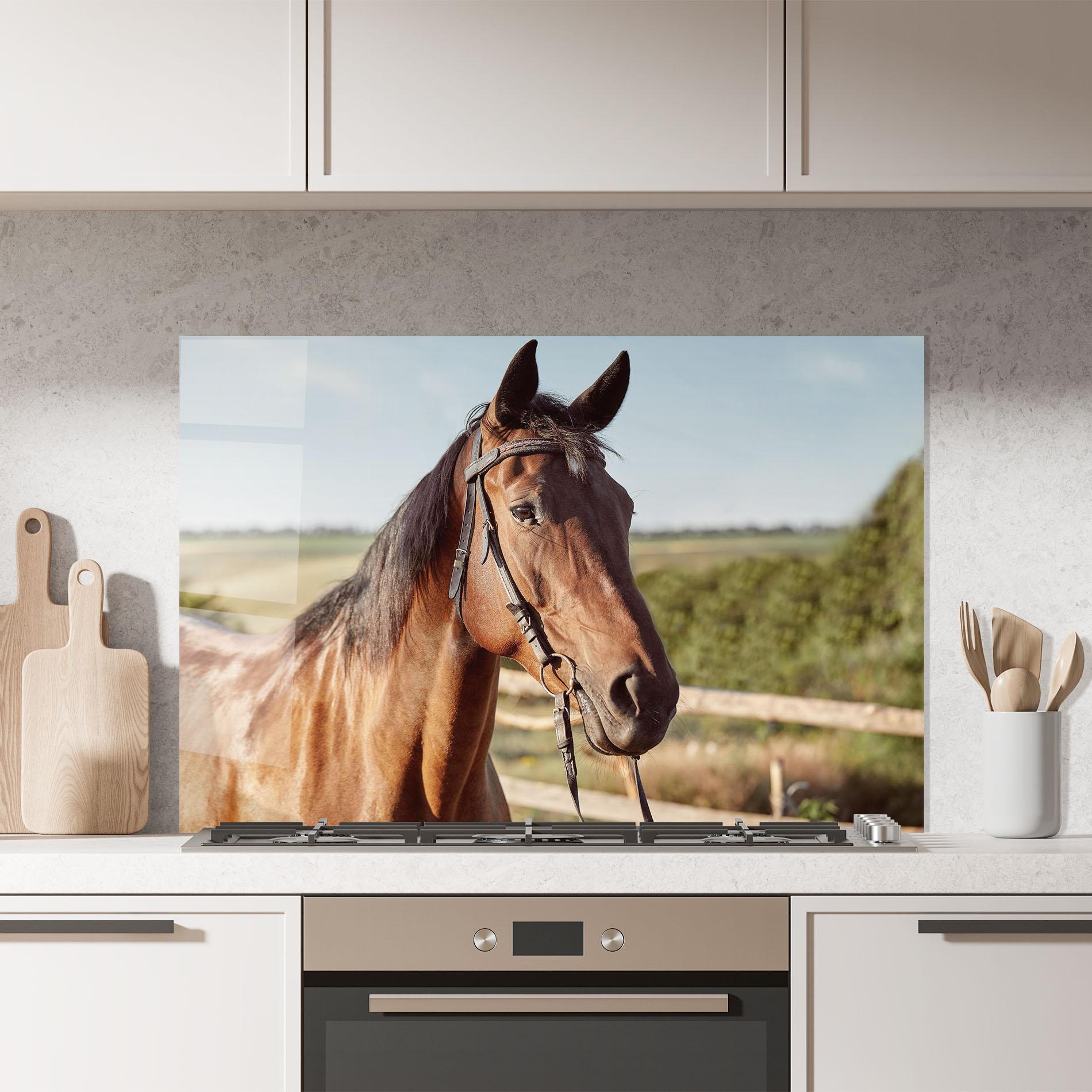 Konyhai üveg hátfal Brown Horse Close Up mockup 7
