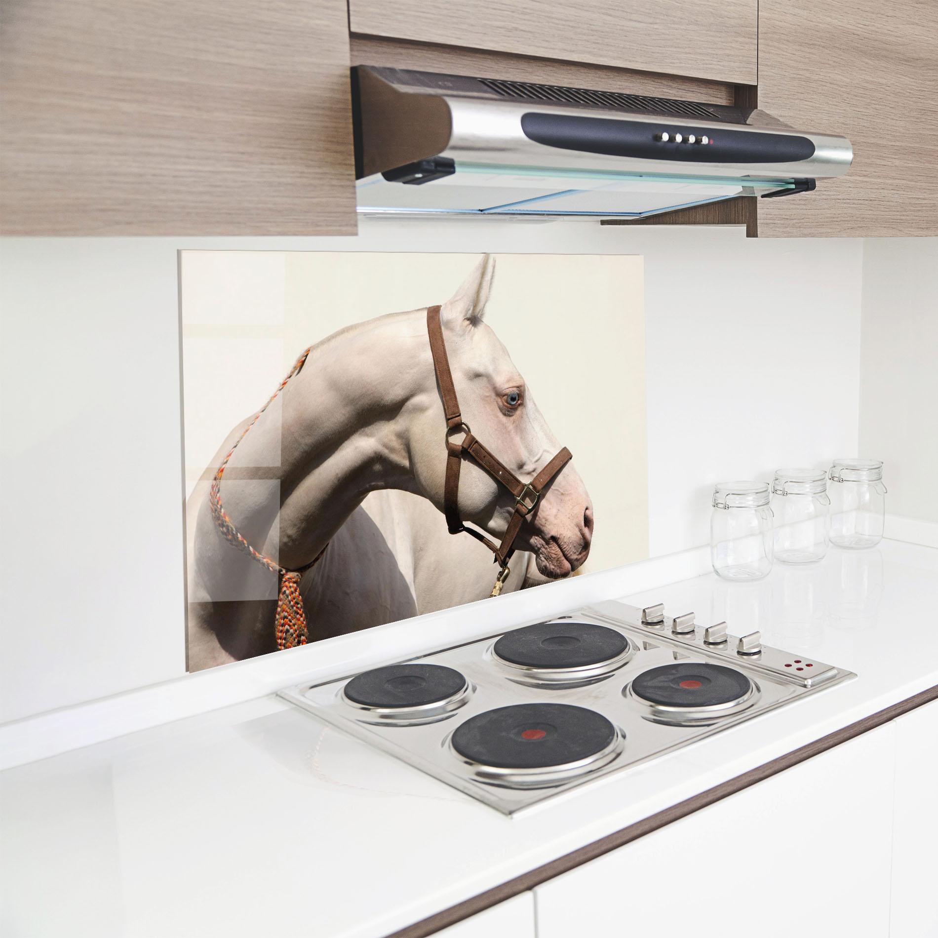 Konyhai üveg hátfal Blue Eye Horse mockup 8