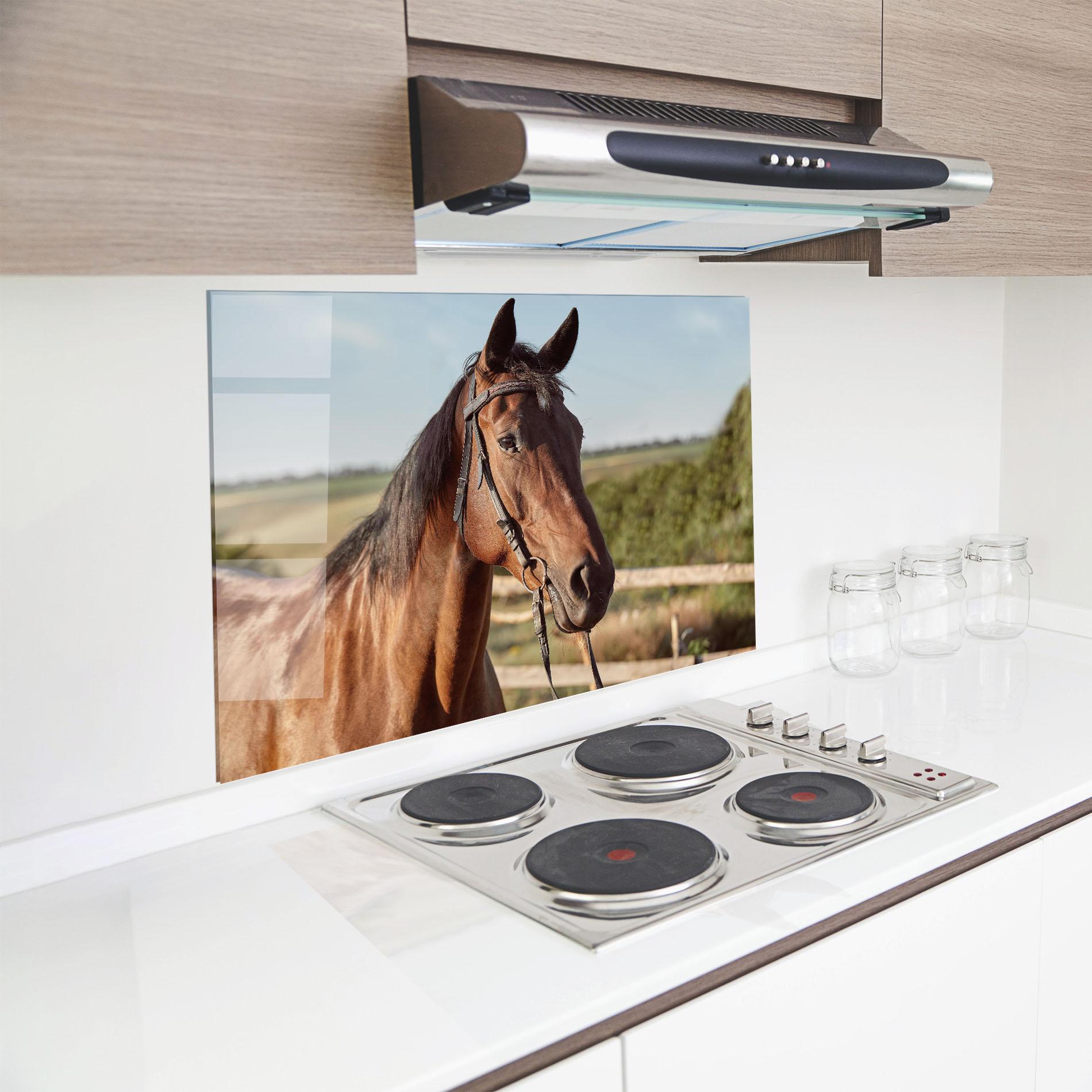 Konyhai üveg hátfal Brown Horse Close Up mockup 8