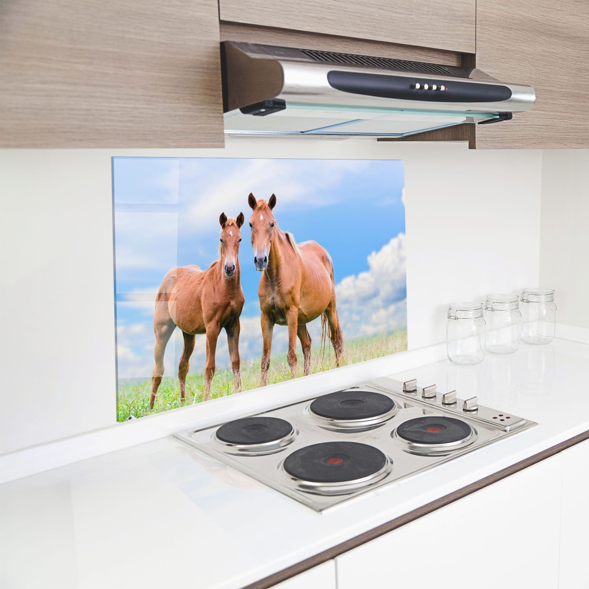 Brown Horse Looking mockup 8