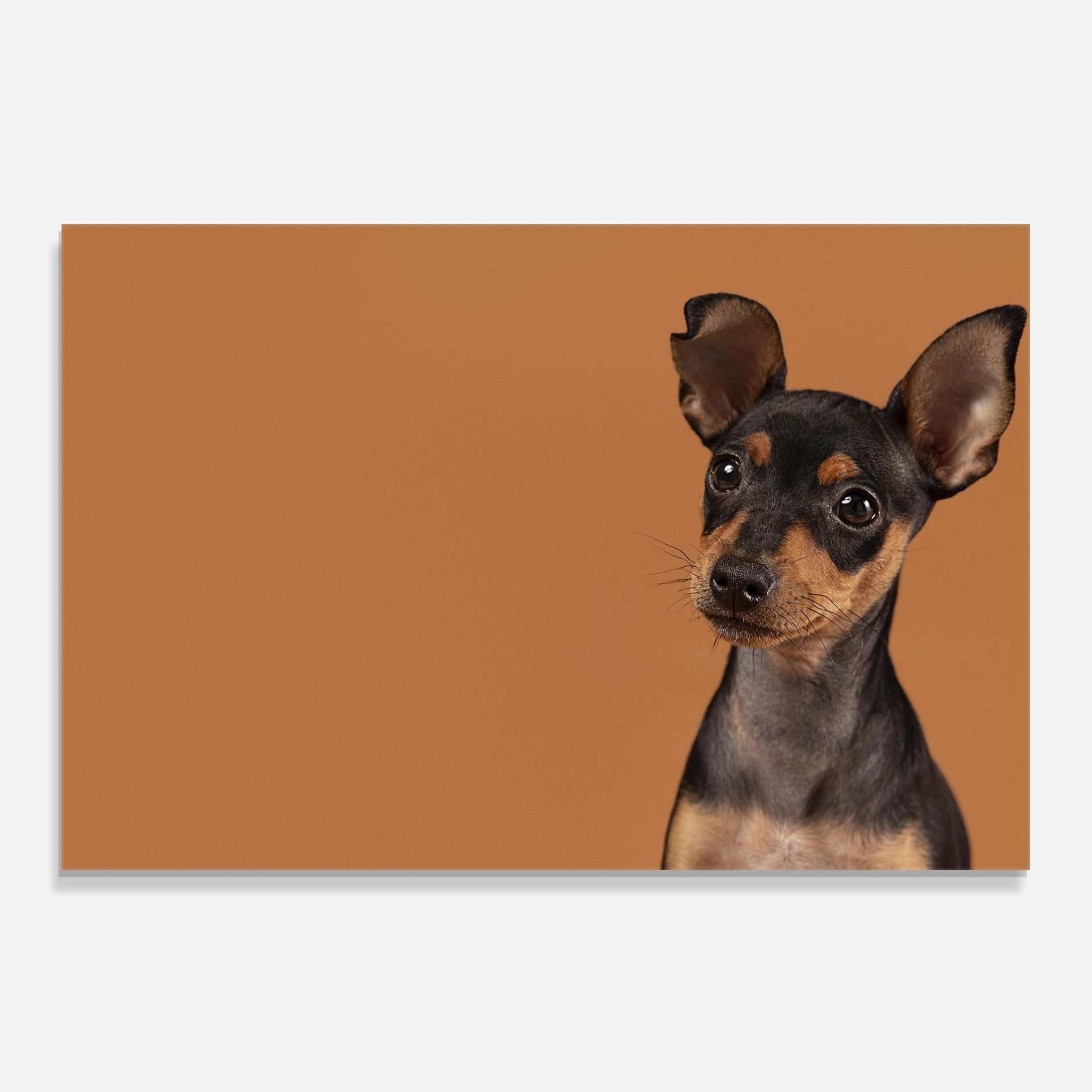 Cute Dog Portrait mockup 0