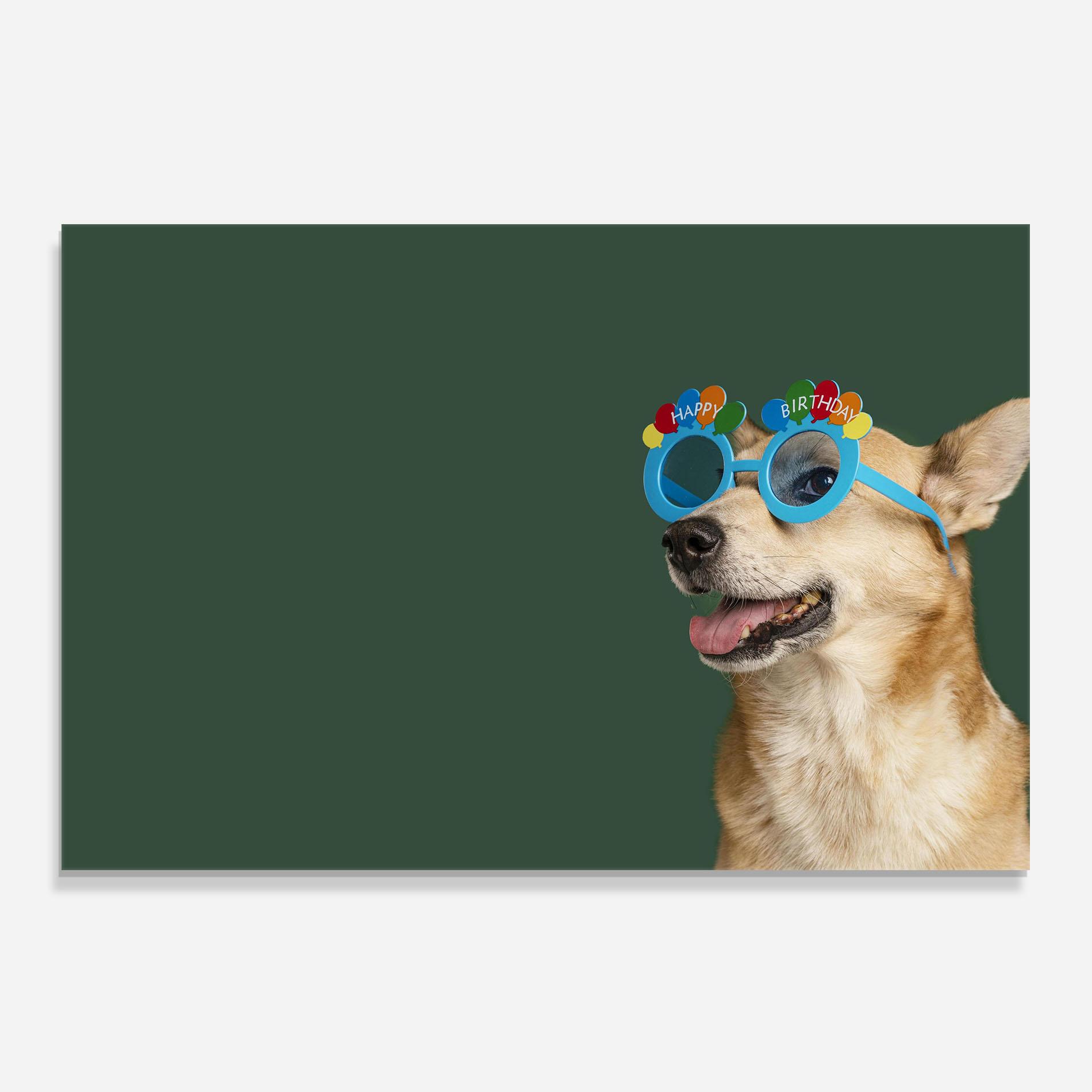 Konyhai üveg hátfal Cute Glasses Dog mockup 0