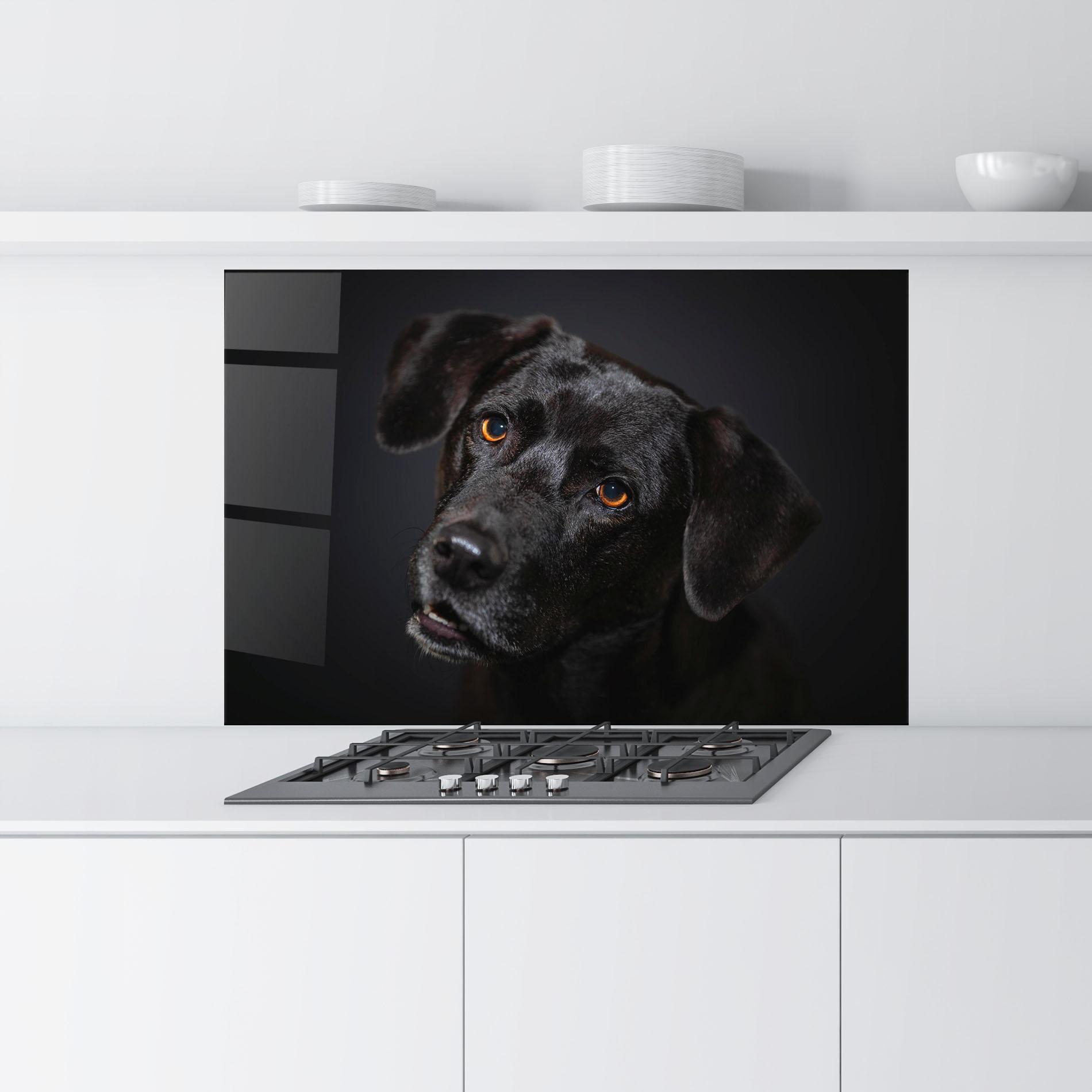 Konyhai üveg hátfal Black Dog Portrait mockup 9
