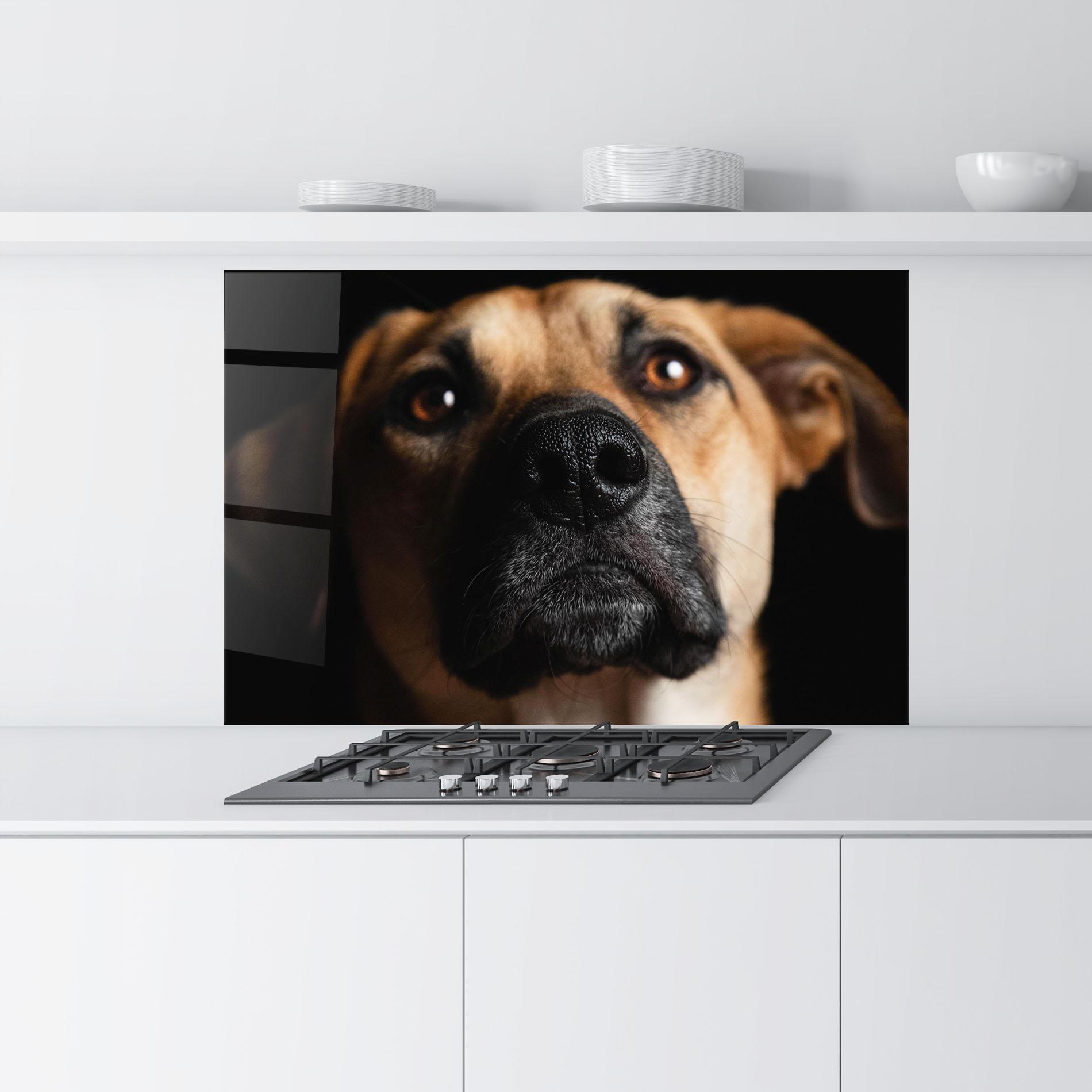 Konyhai üveg hátfal Black Nose Dog mockup 9