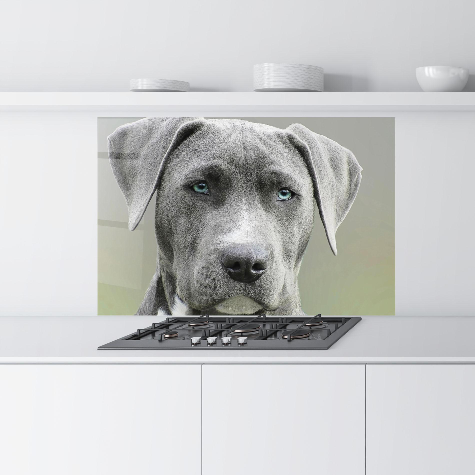 Konyhai üveg hátfal Blue Eyes Dog mockup 9