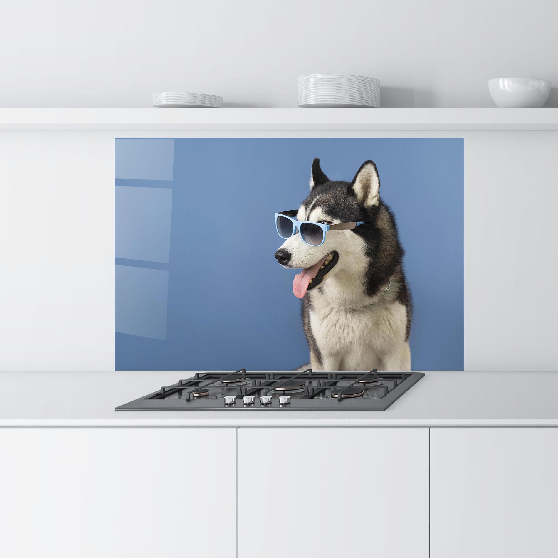 Konyhai üveg hátfal Blue Glasses Dog mockup 9