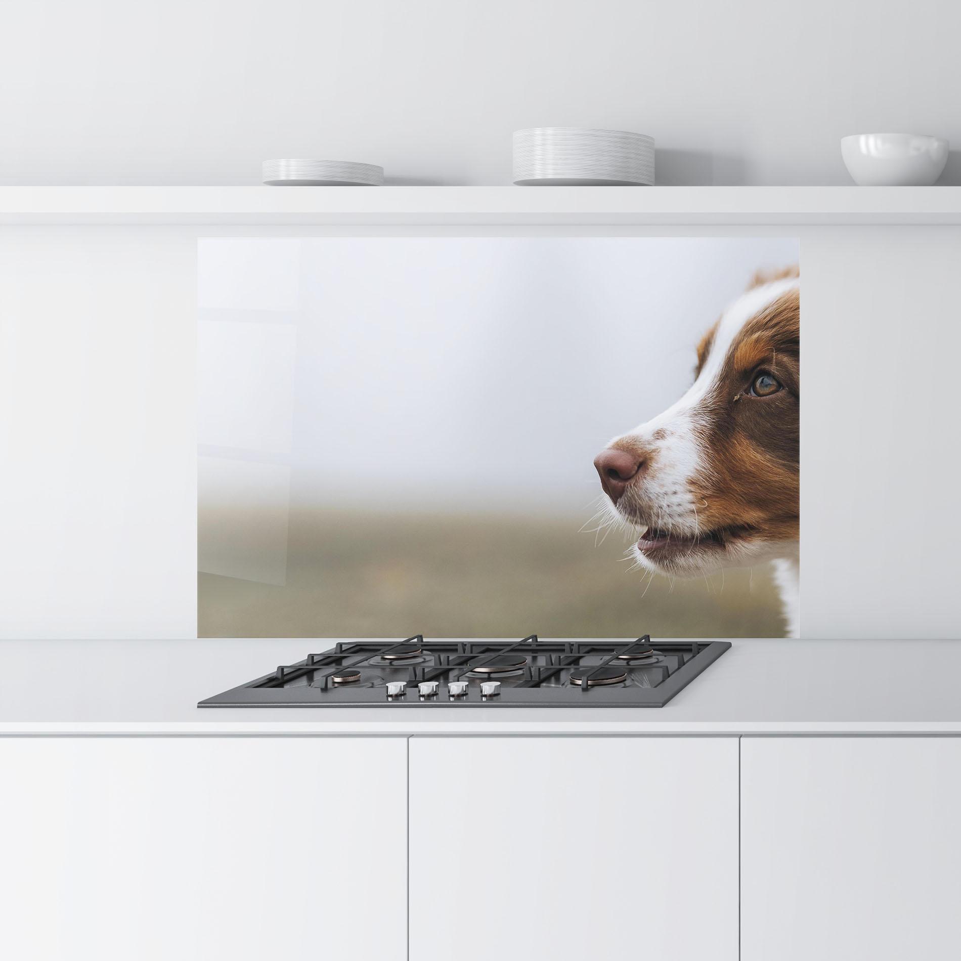 Konyhai üveg hátfal Brown White Dog mockup 9