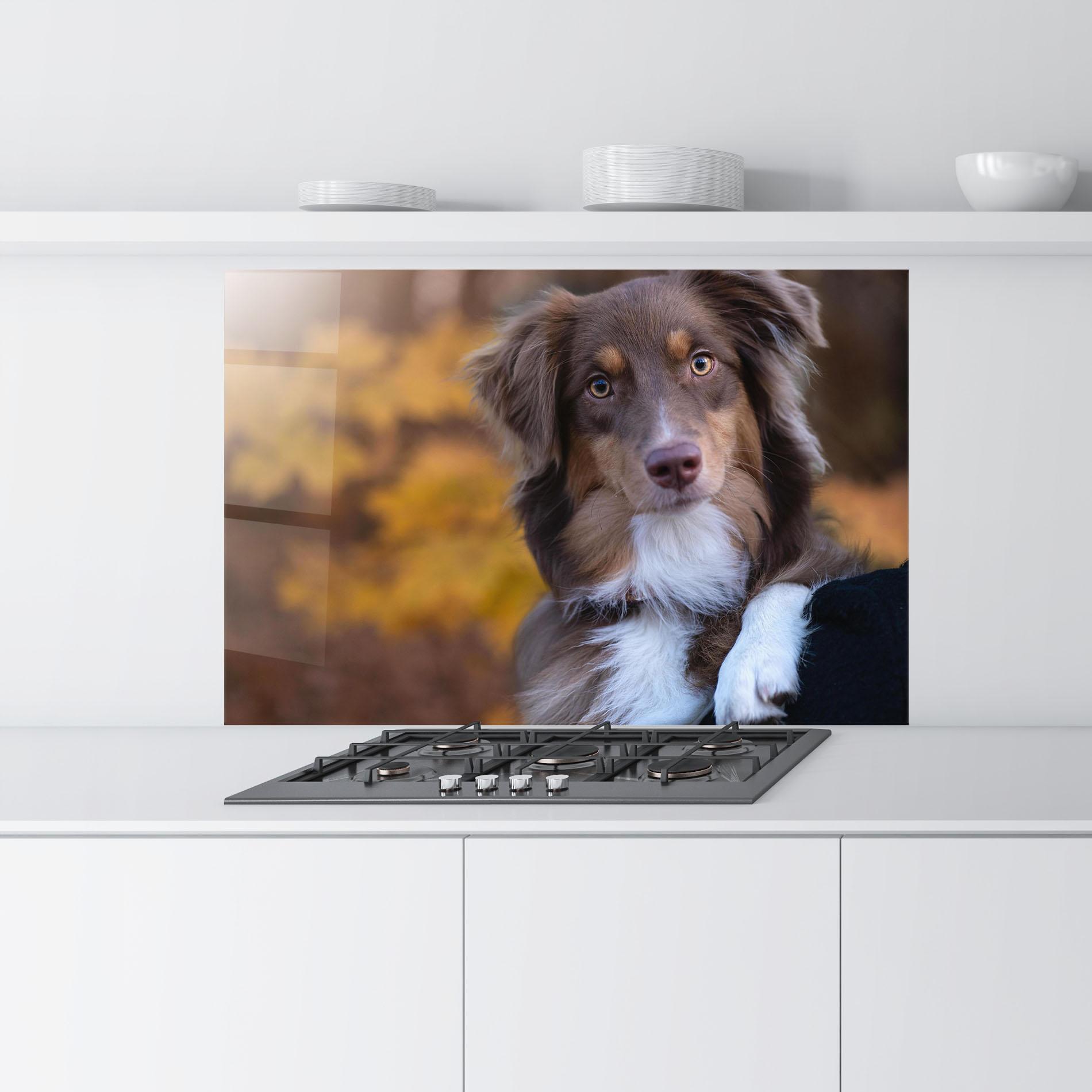 Konyhai üveg hátfal Coffee Brown Dog mockup 9