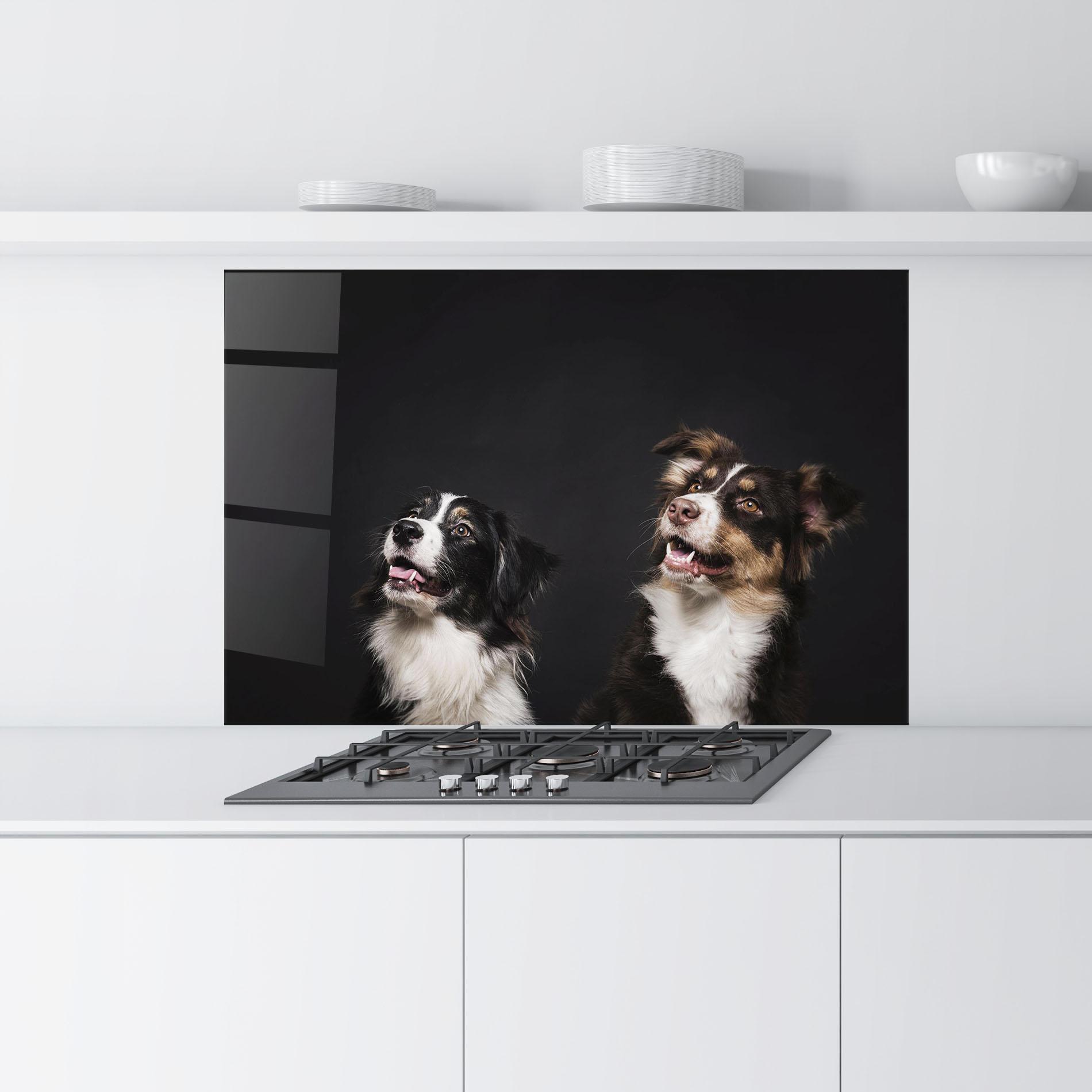 Konyhai üveg hátfal Cute Dogs Standing mockup 9