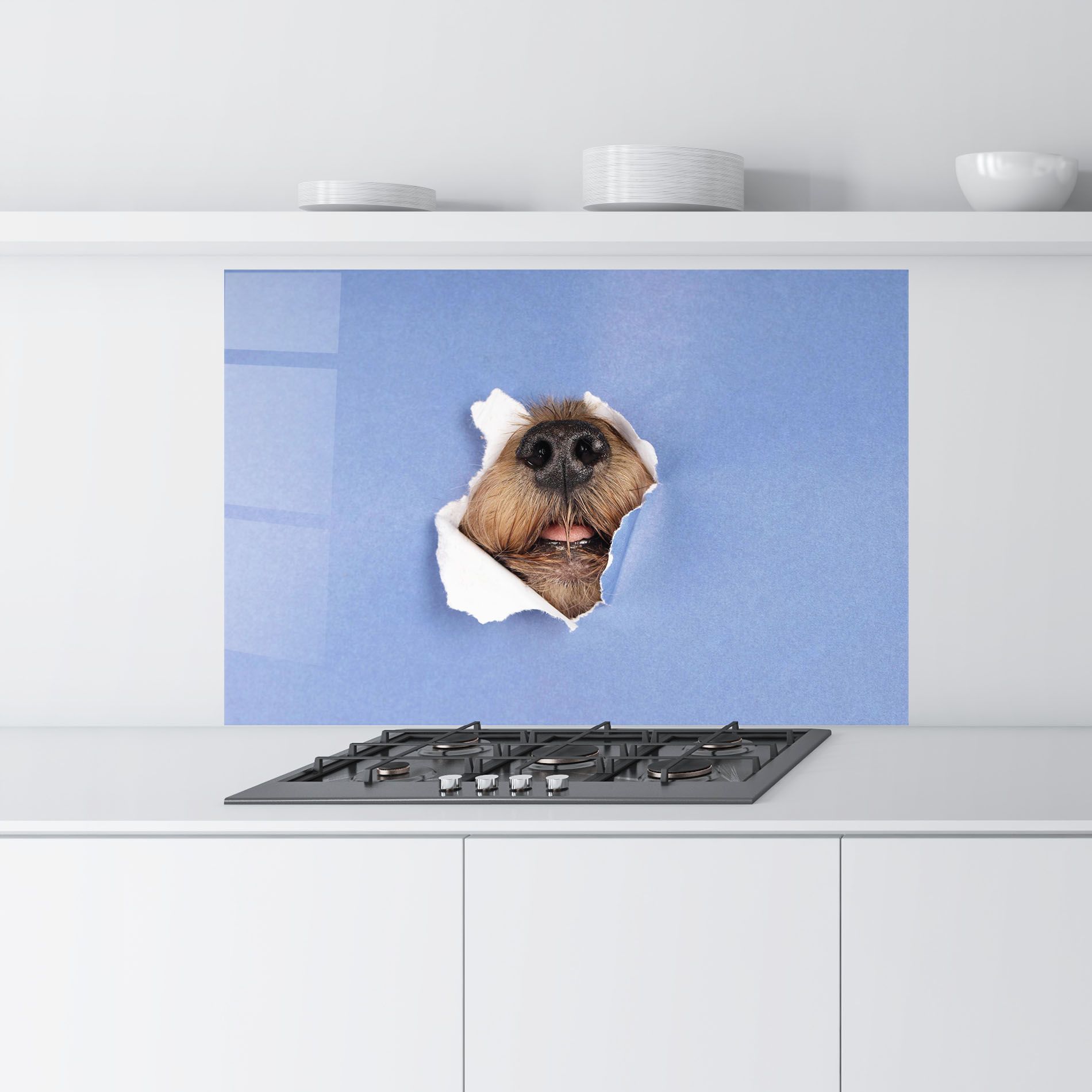 Dog Small Nose mockup 9
