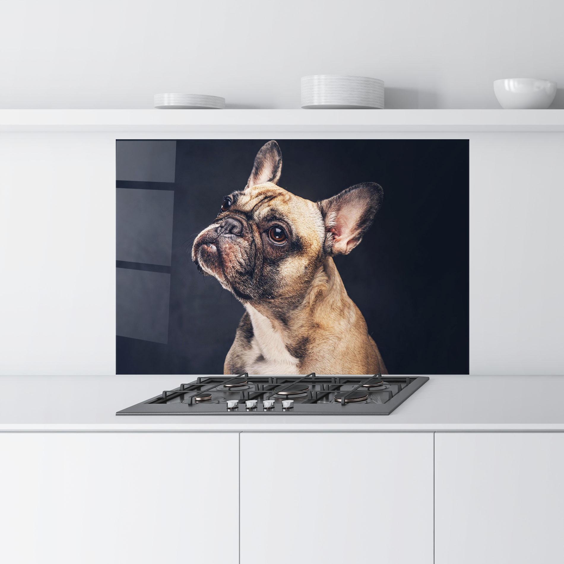 Konyhai üveg hátfal Funny Face Dog mockup 9