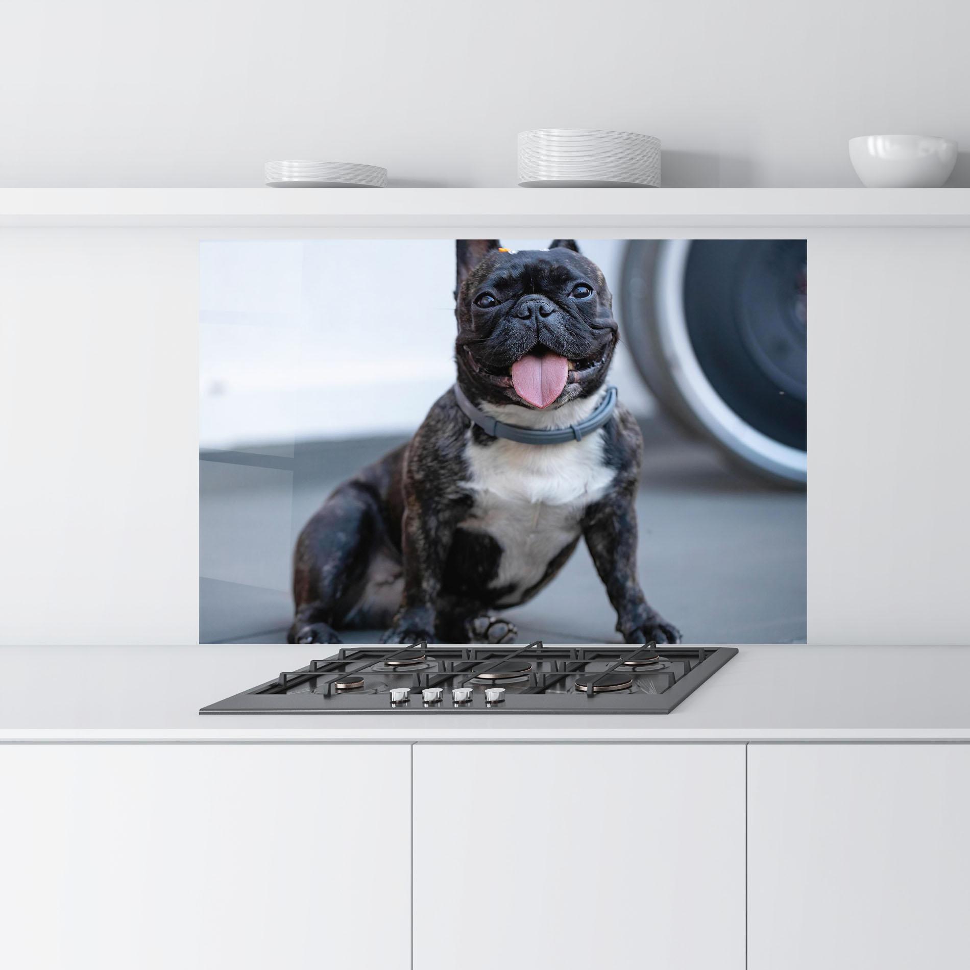 Konyhai üveg hátfal Happy Black Dog mockup 9