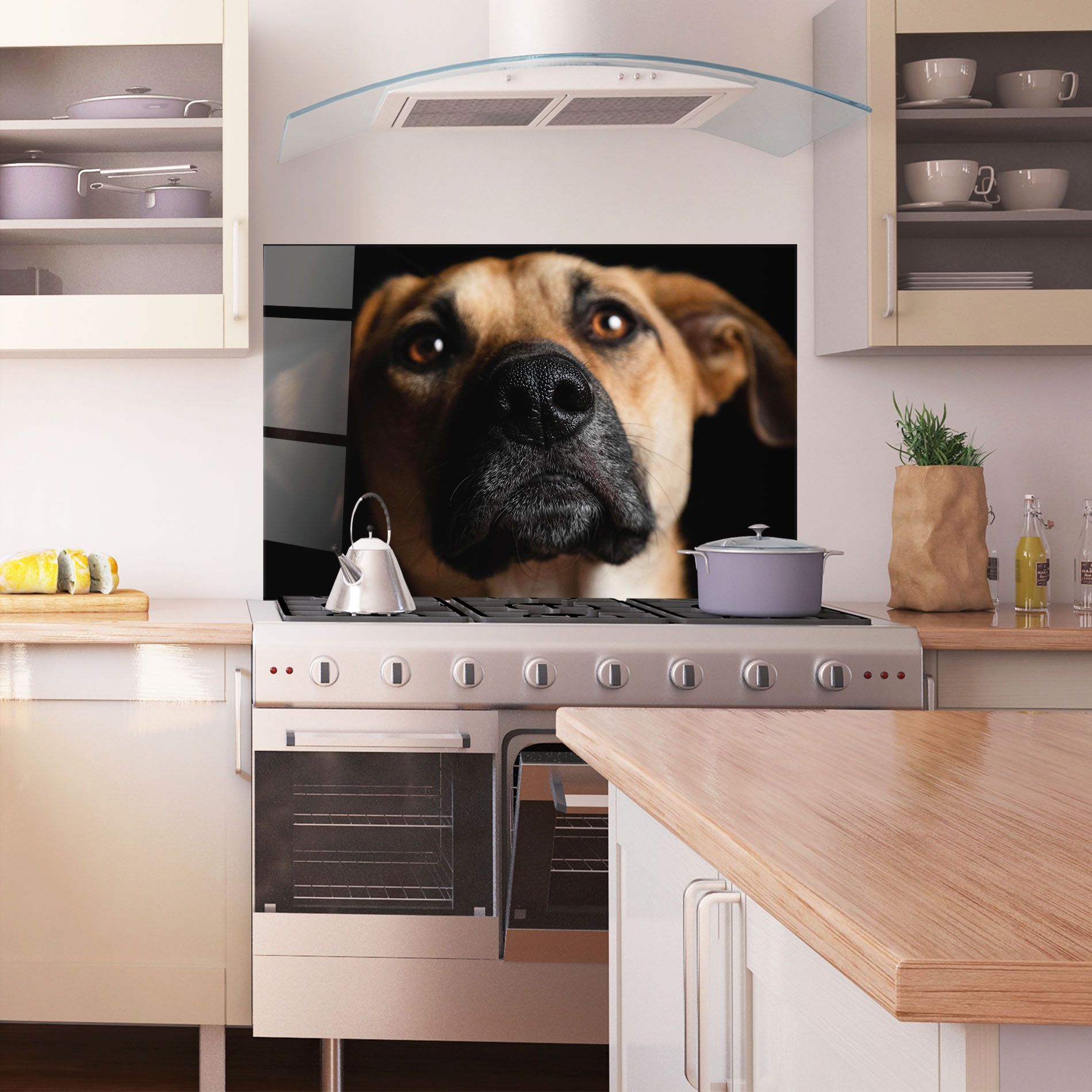 Black Nose Dog mockup 1