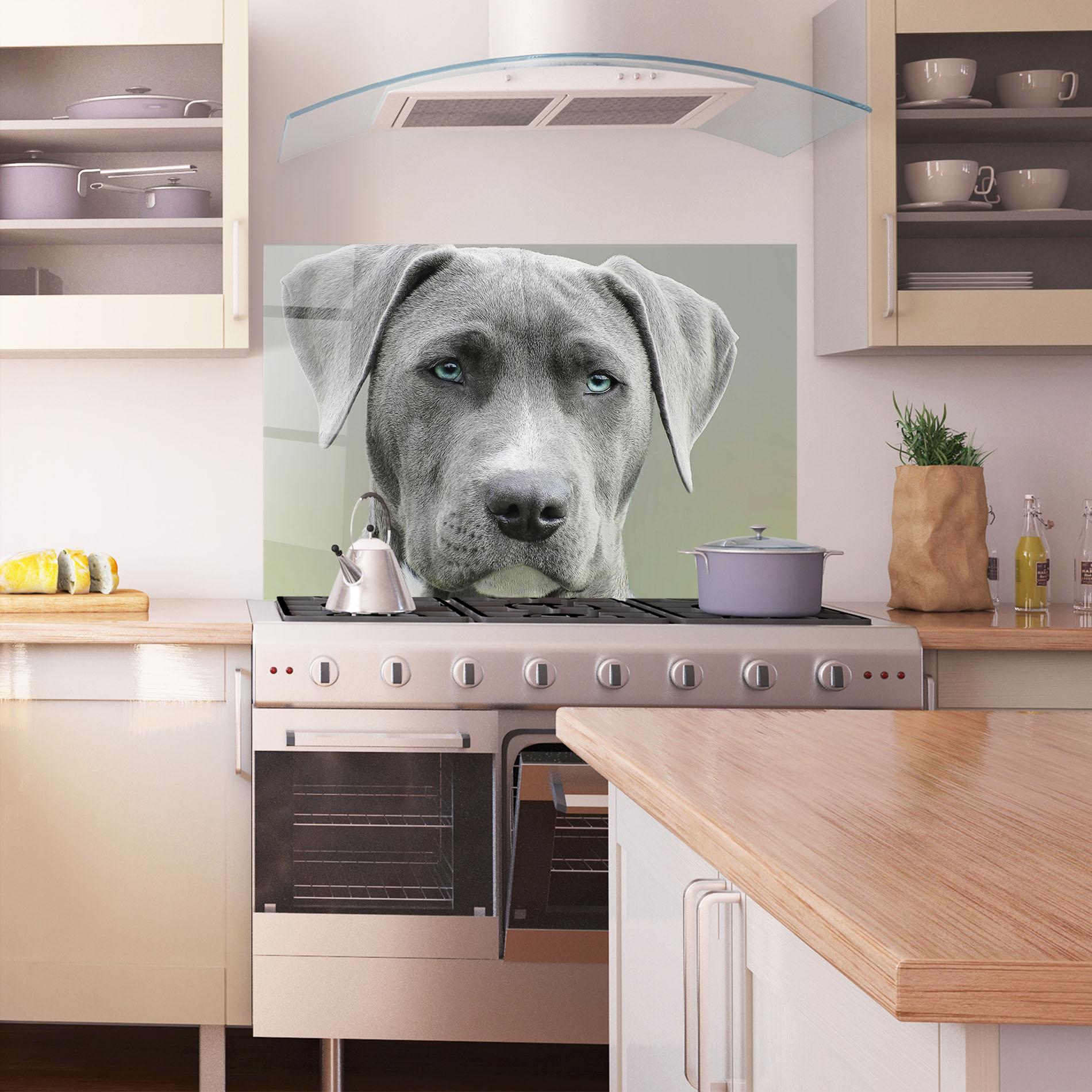 Konyhai üveg hátfal Blue Eyes Dog mockup 1