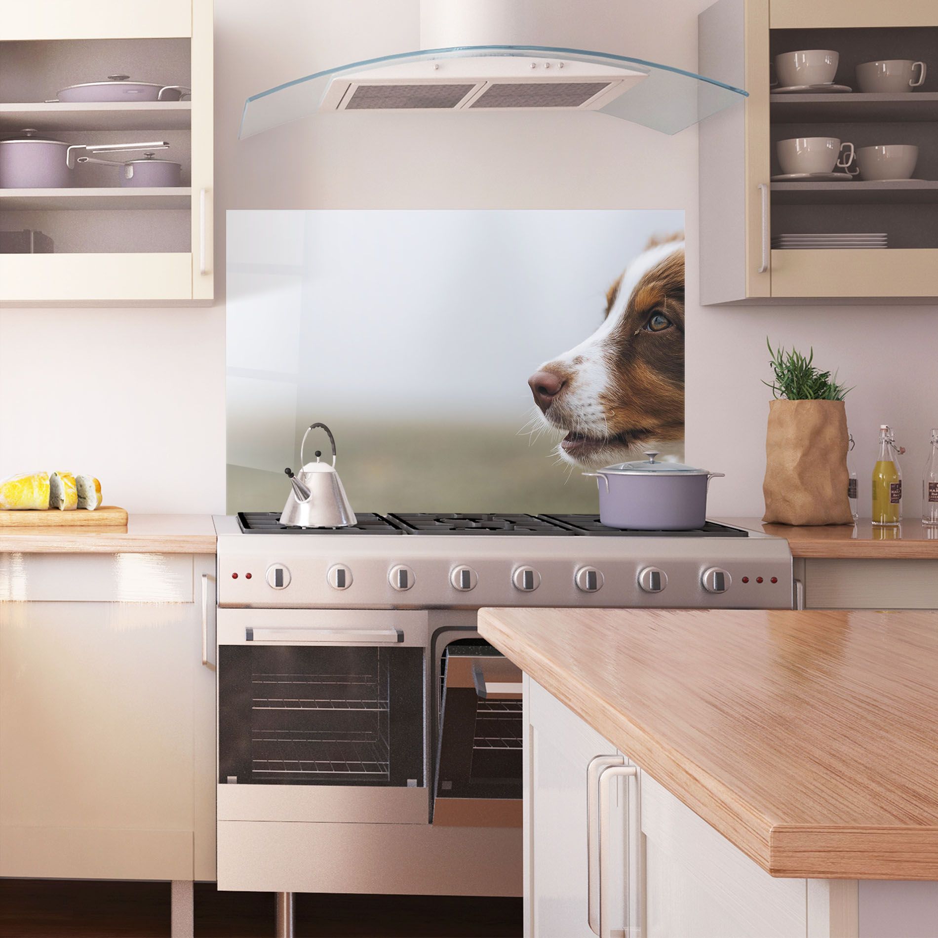 Brown White Dog mockup 1