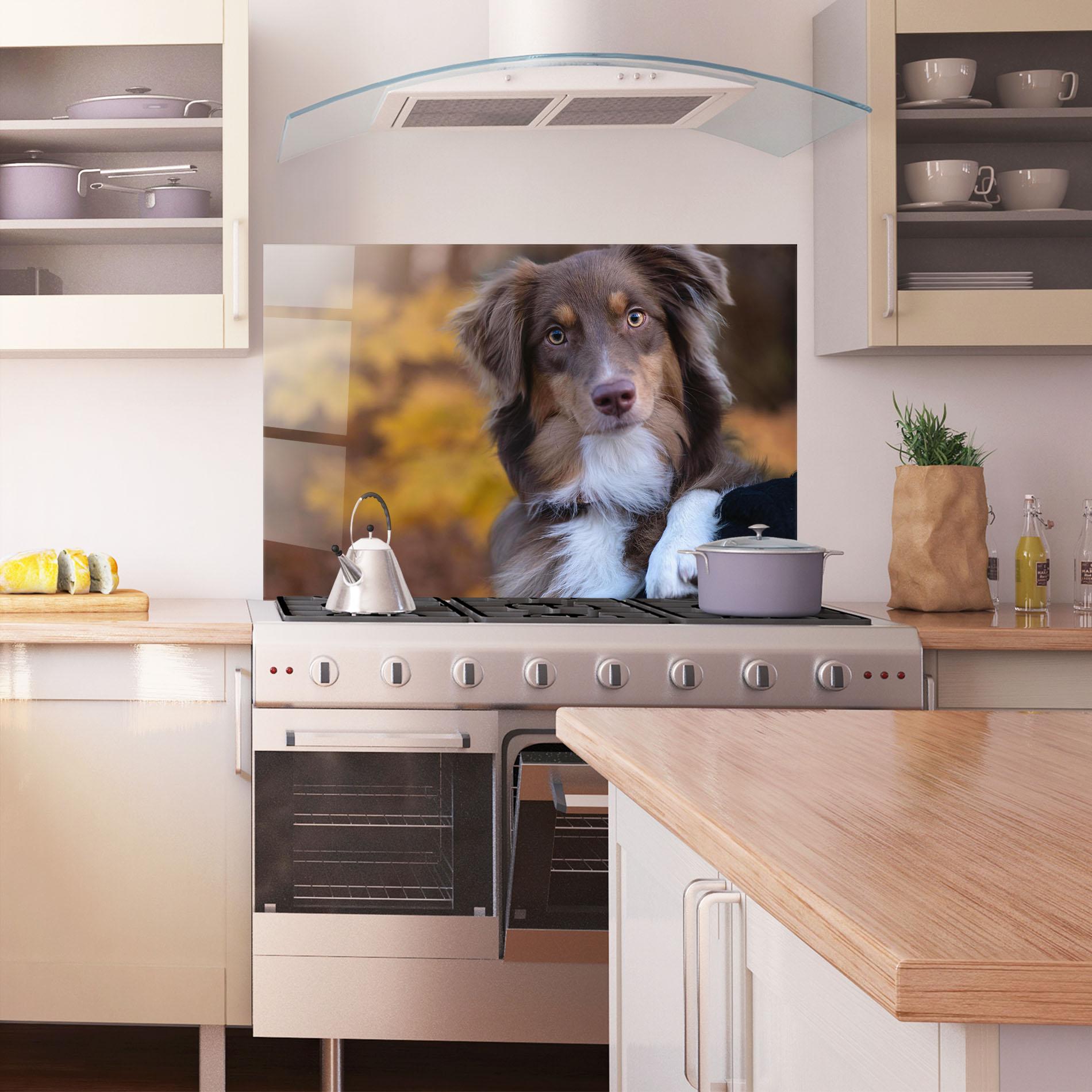 Konyhai üveg hátfal Coffee Brown Dog mockup 1