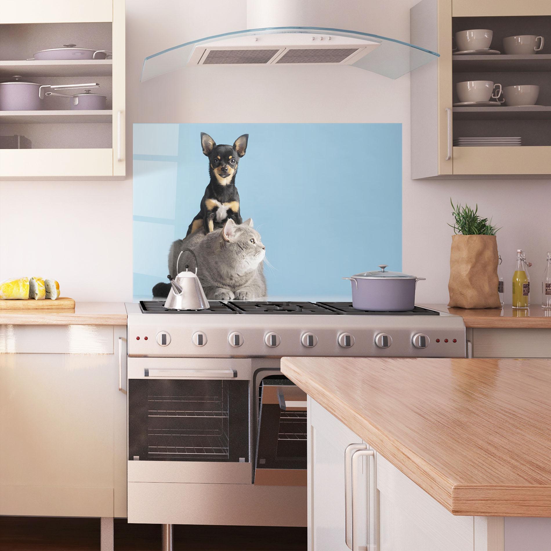 Konyhai üveg hátfal Dog Grey Cat mockup 1