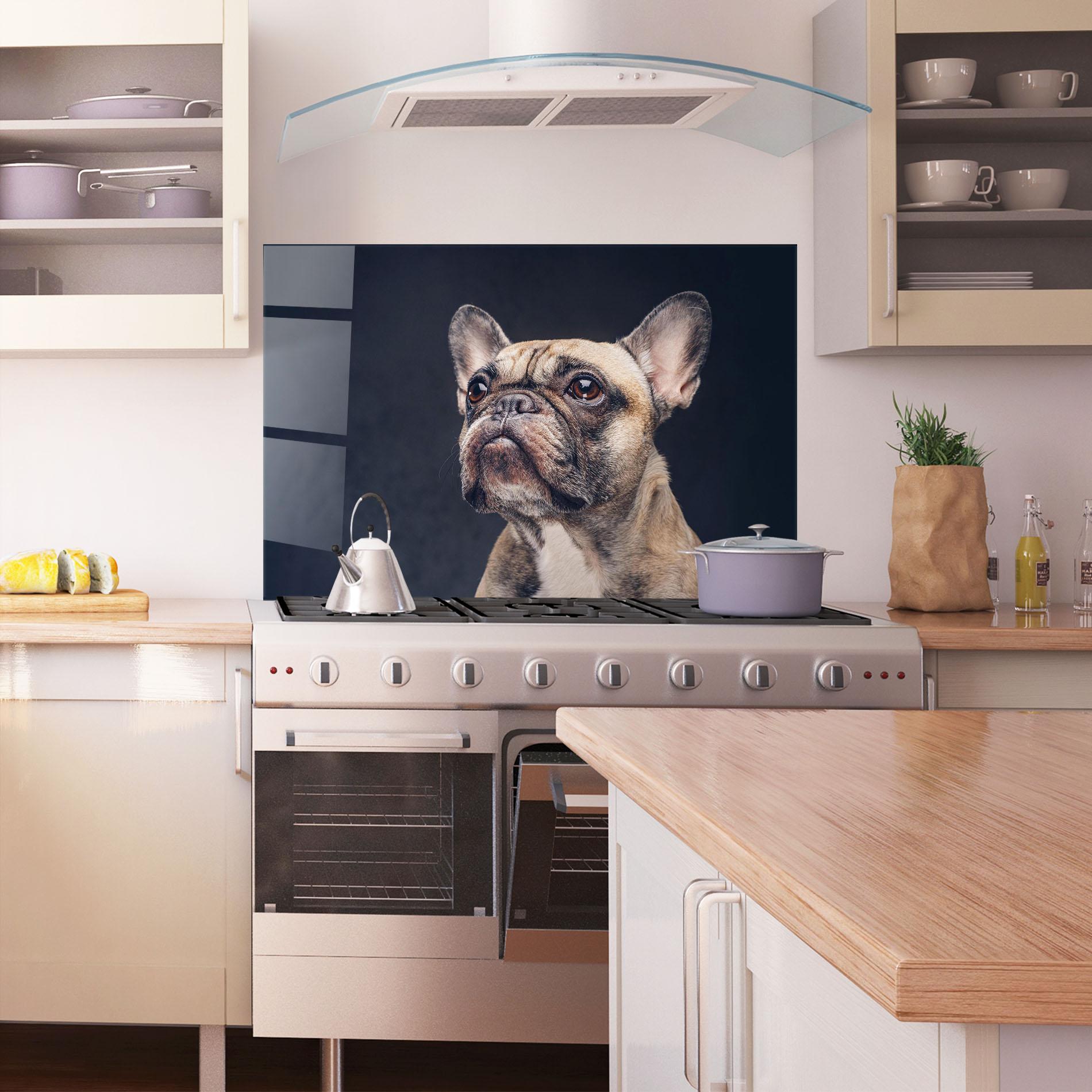 Konyhai üveg hátfal Dog Looking Up mockup 1