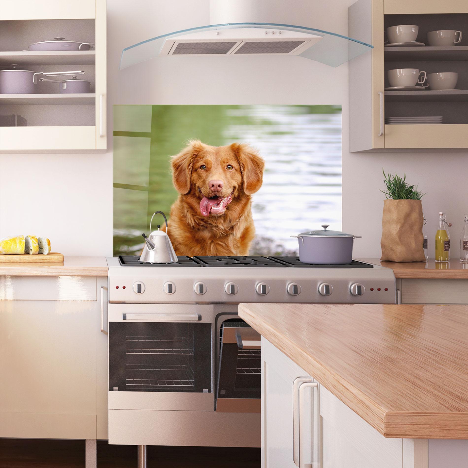 Konyhai üveg hátfal Gren Water Dog mockup 1