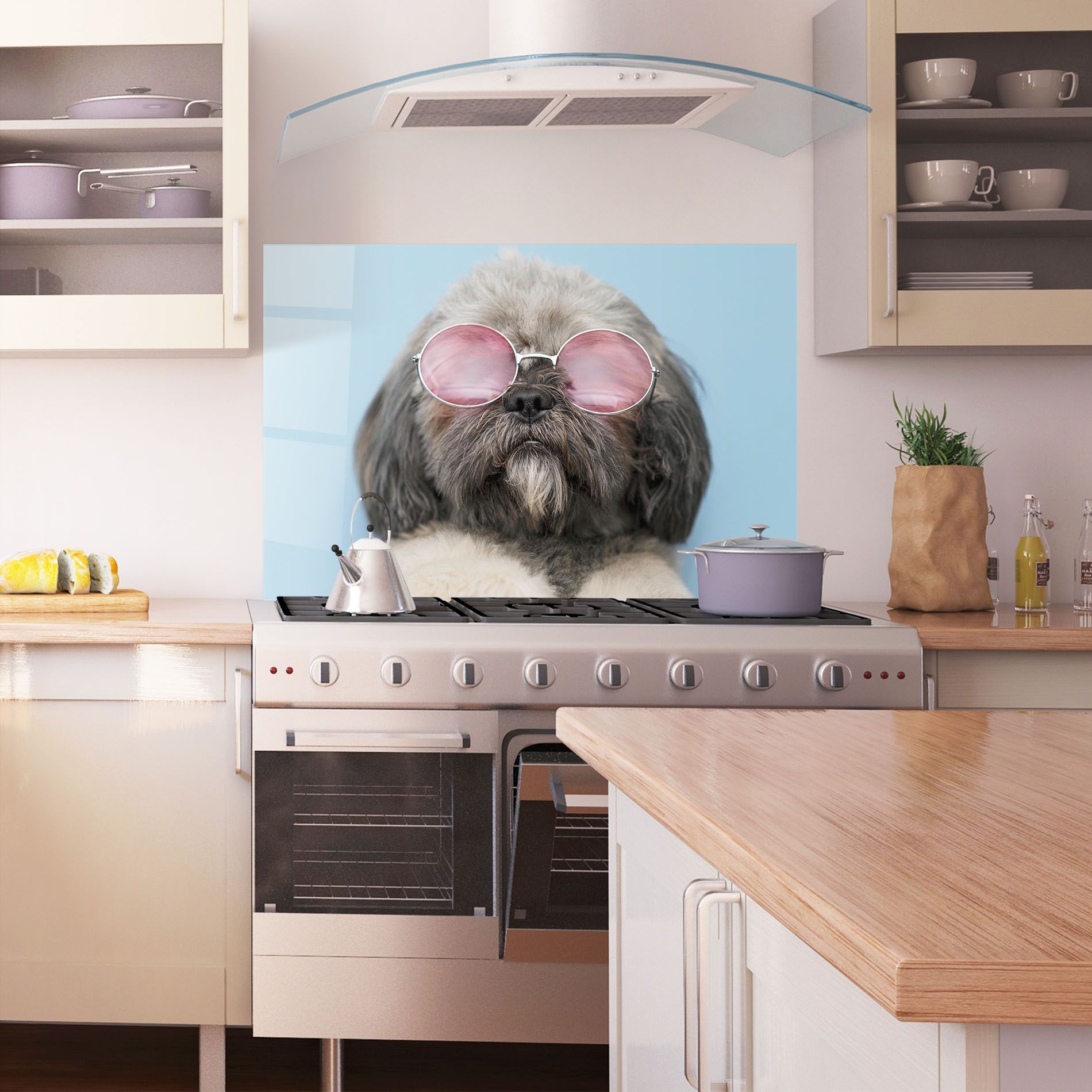 Grey Dog On Blue mockup 1