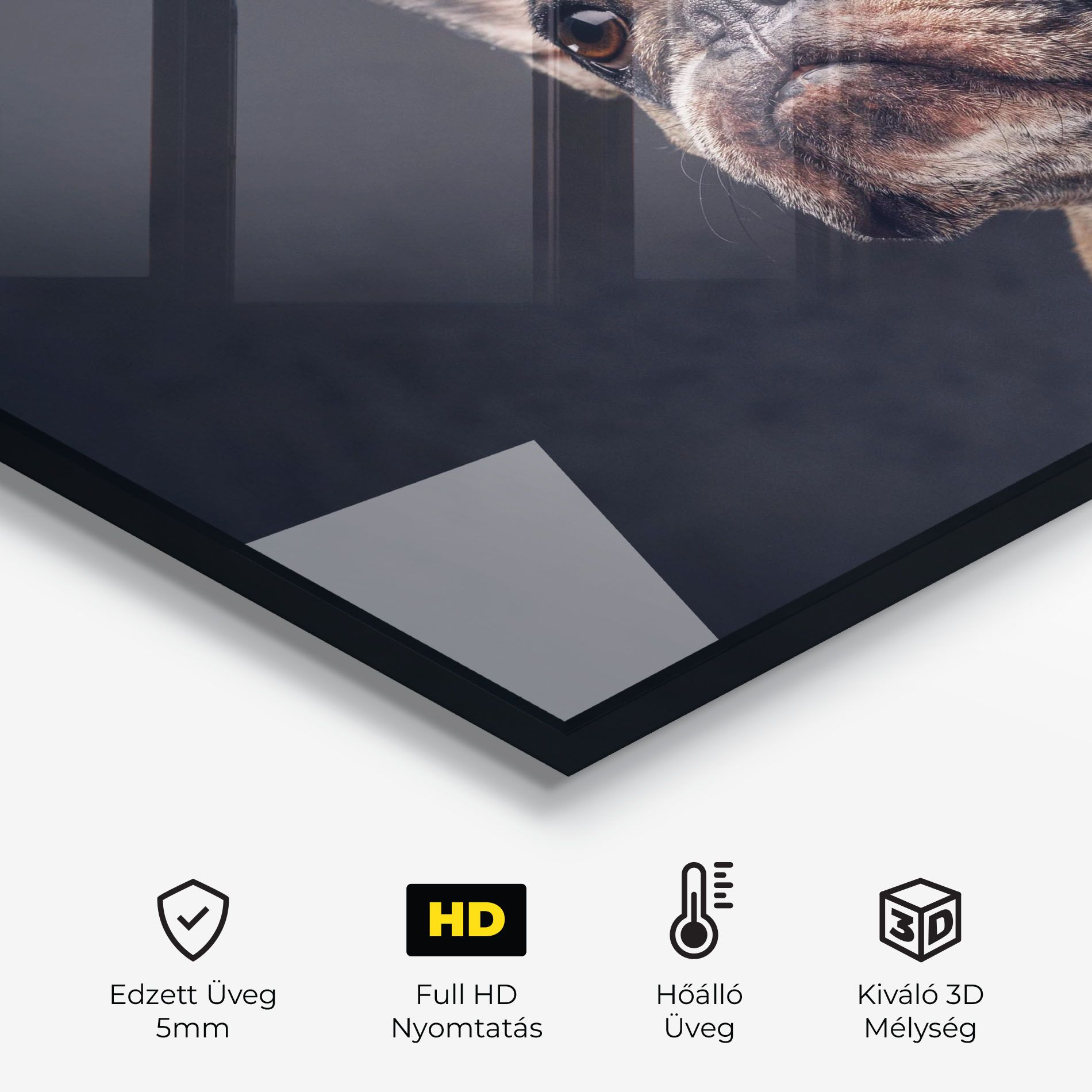 Dog Looking Up mockup 2