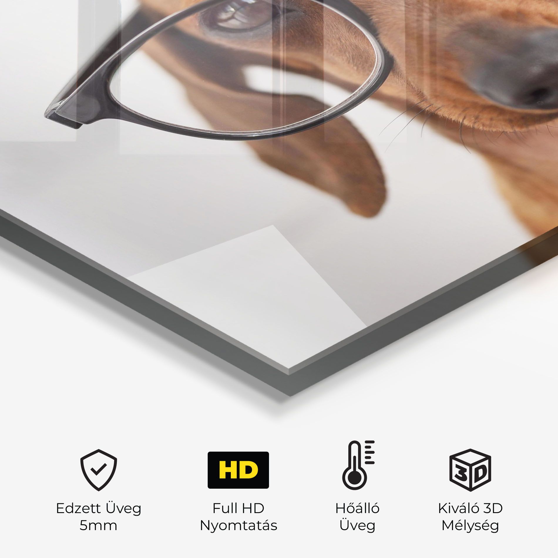 Dog Wearing Glasses mockup 2