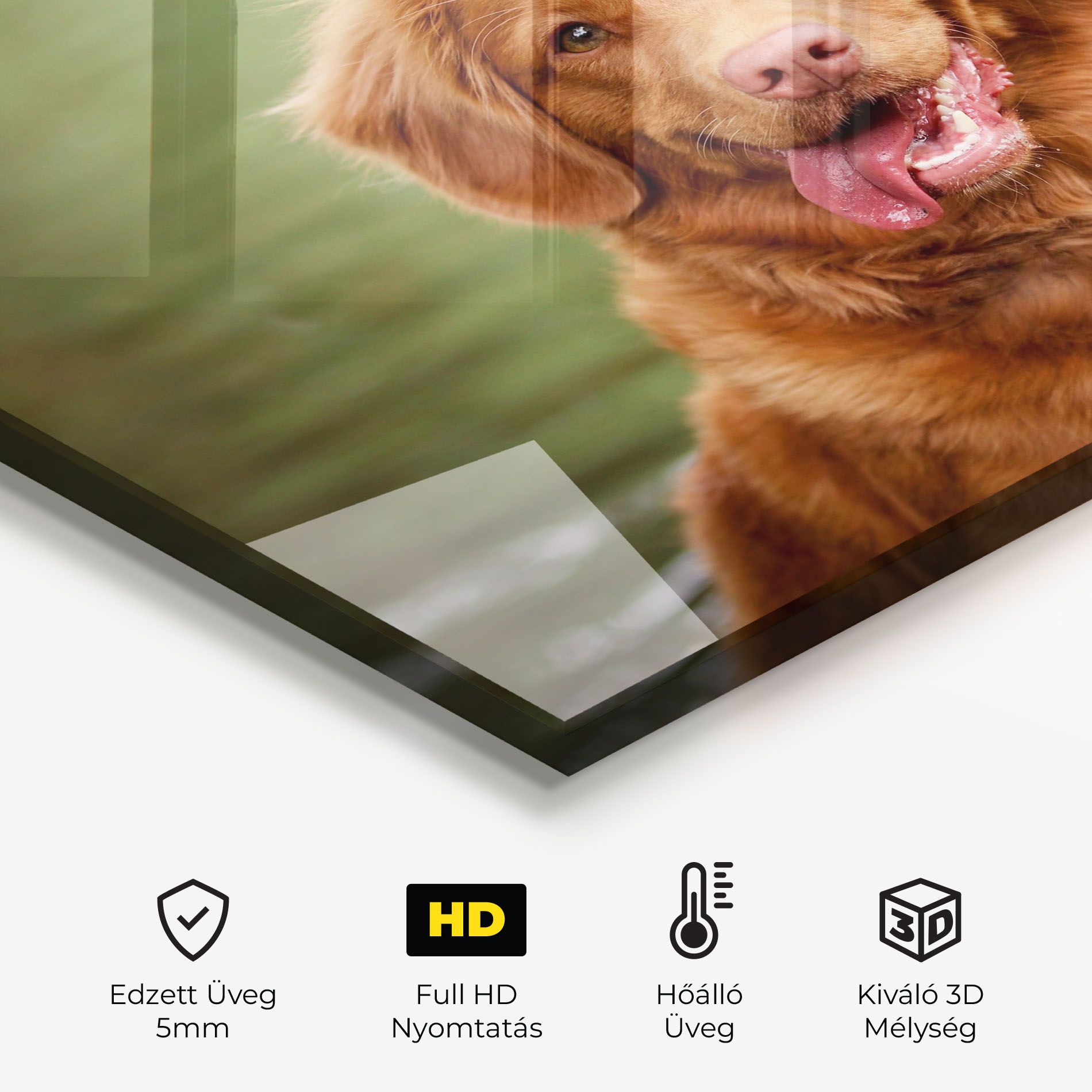 Gren Water Dog mockup 2